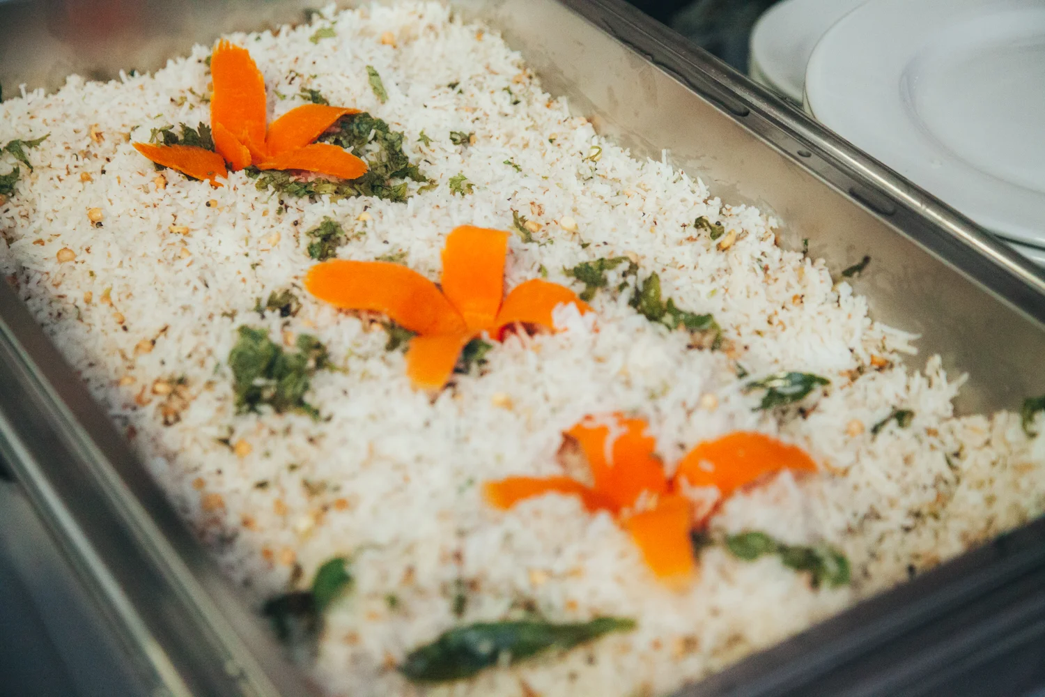 FINAL (391 of 486).JPG