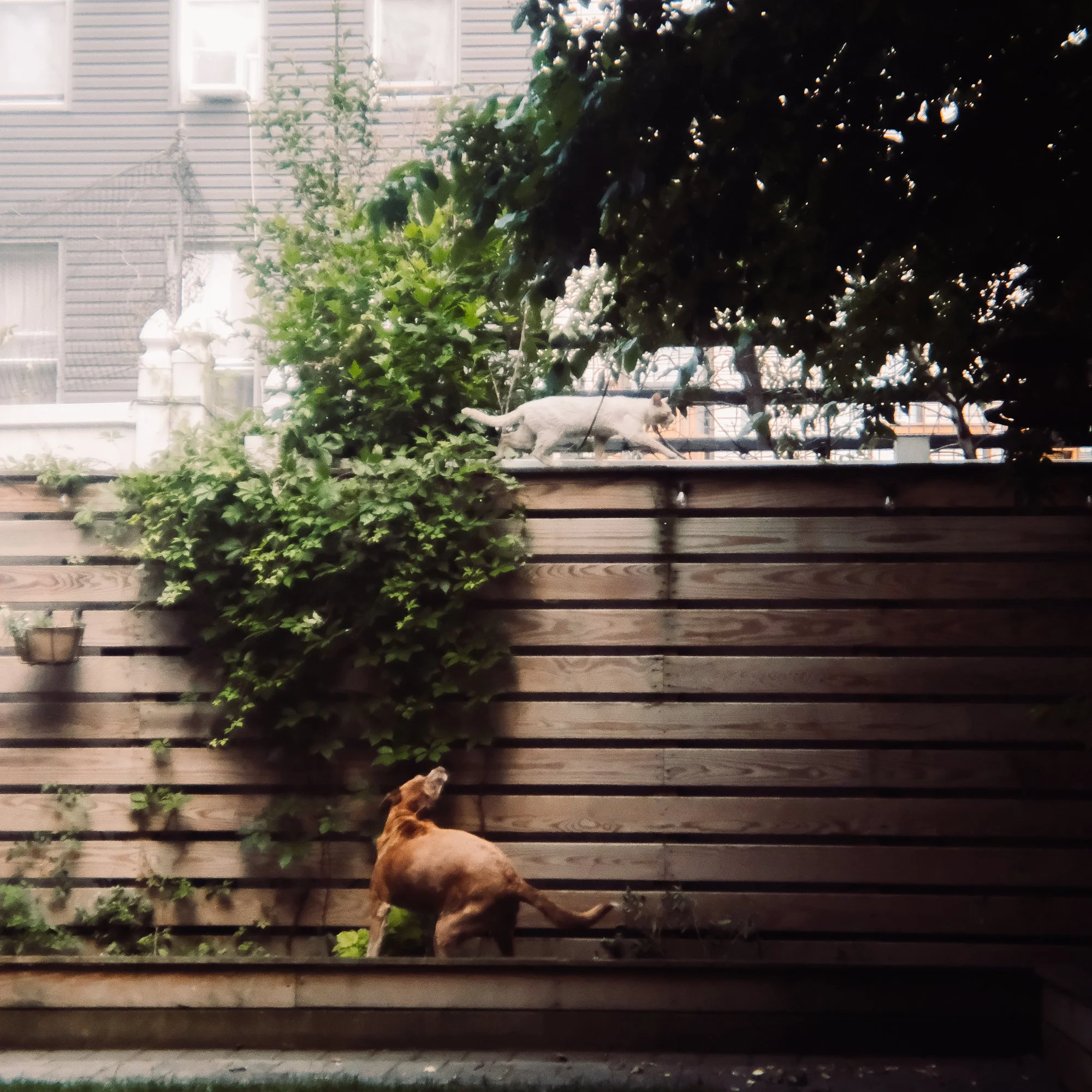 DSCF5239.jpg