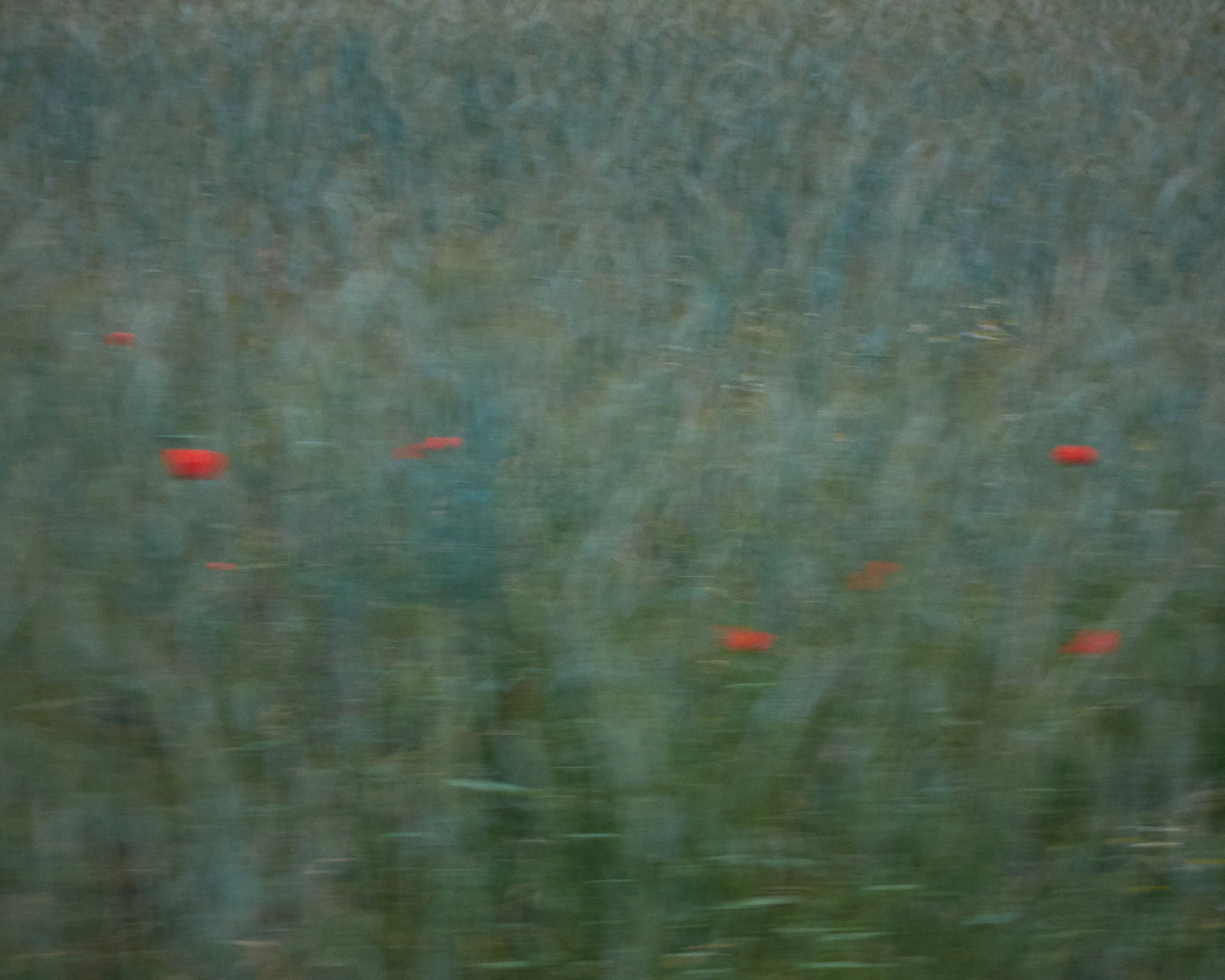 _DSF0345.jpg