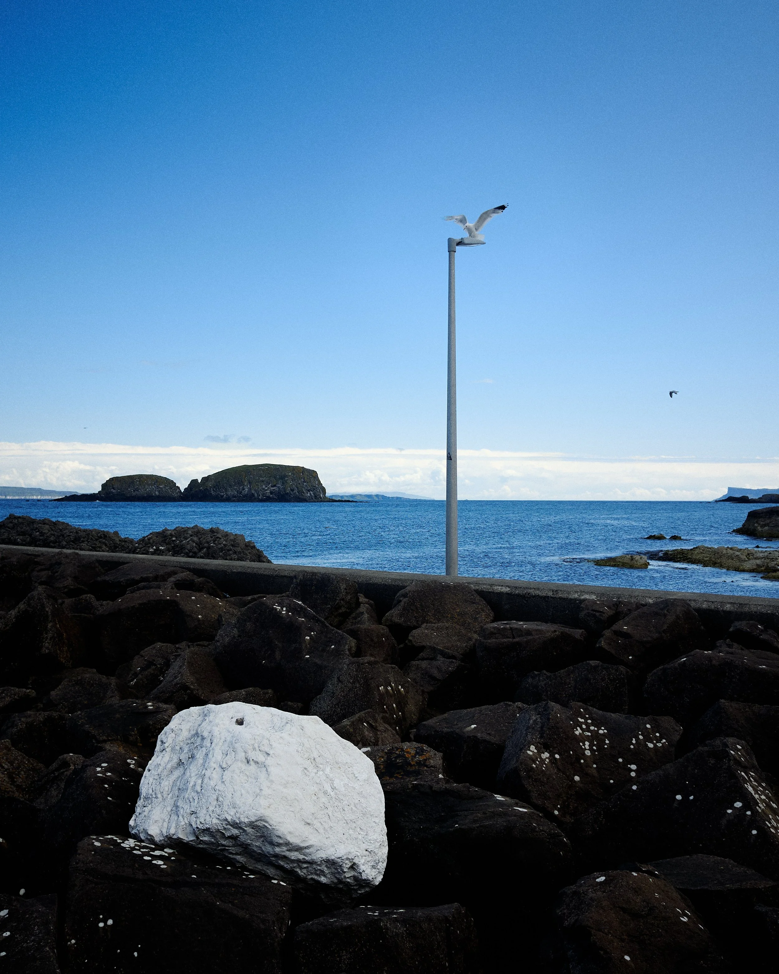 _DSF0754.jpg