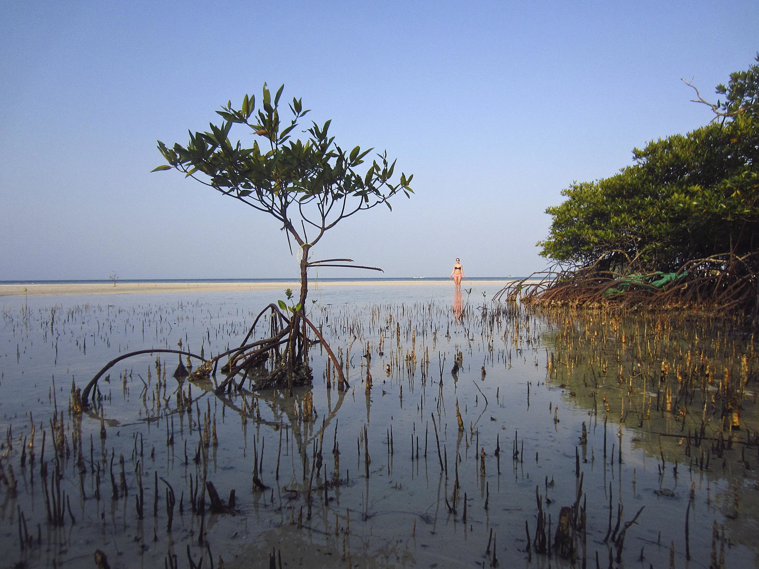 Koh Rong