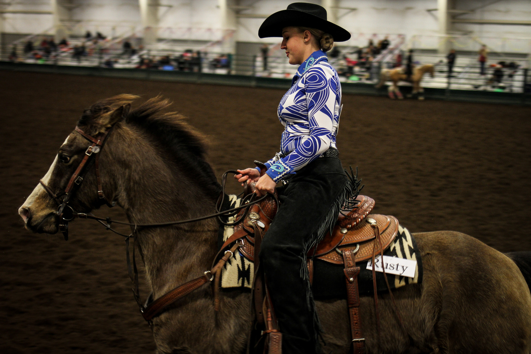 Riders from Western Washington University, Central Washington University, University of Oregon, and others compete in an equestrian horse show on February 1, 2015. 