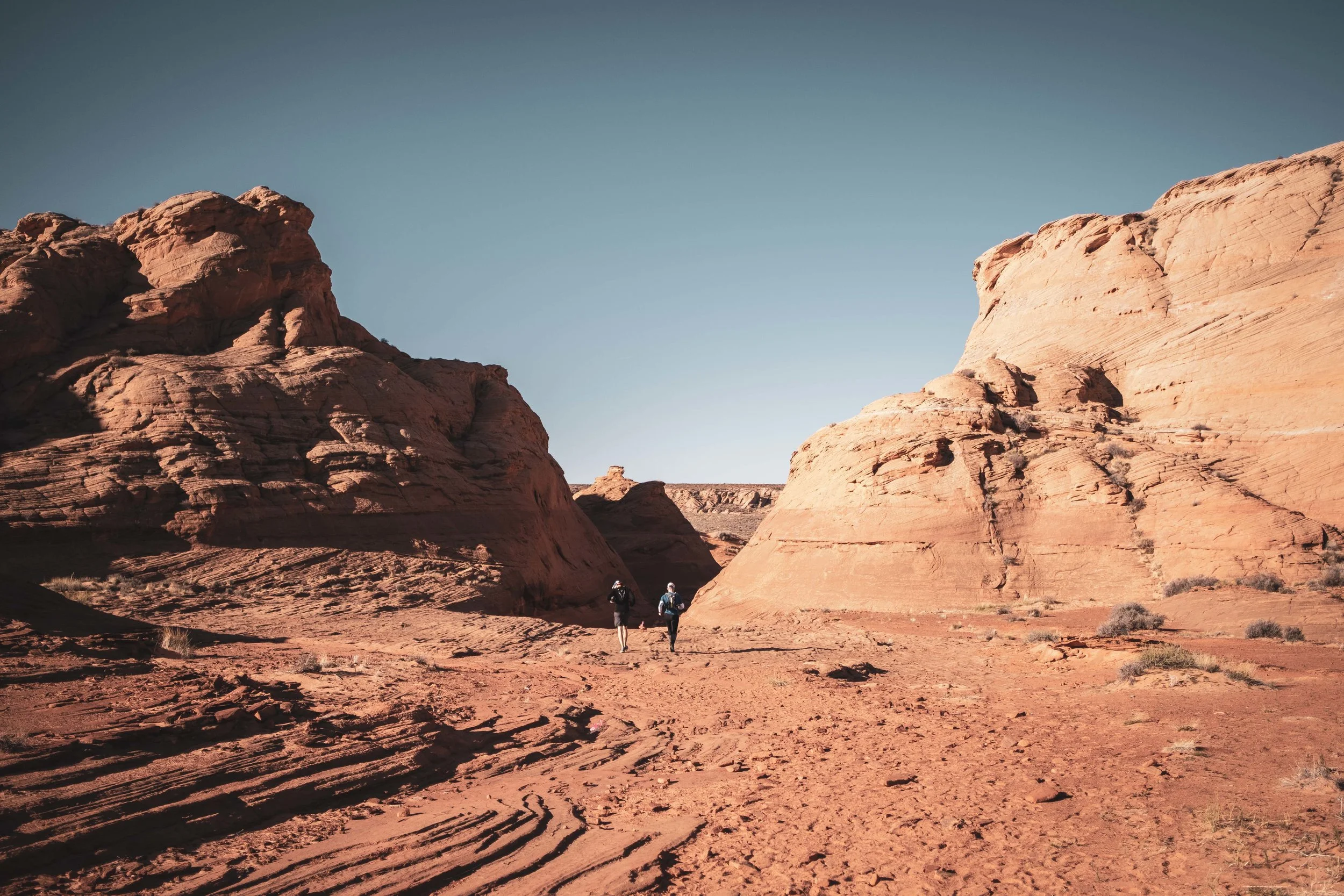 Antelope_Web-36.jpg