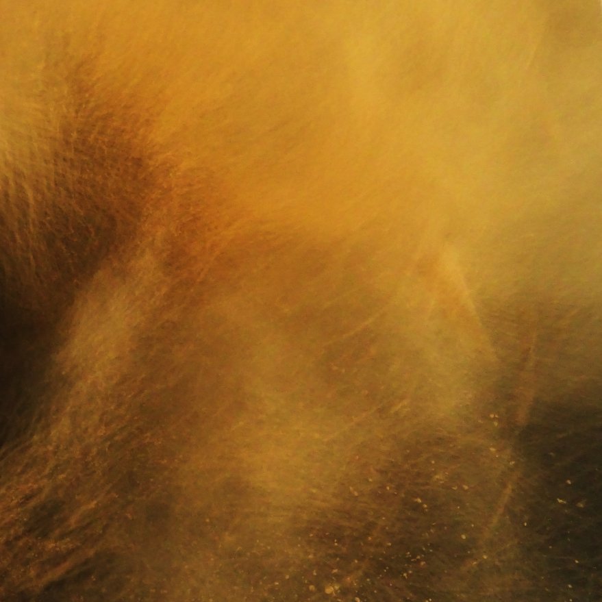 Annie Hogg- Bog Spell I (1) copy.jpg