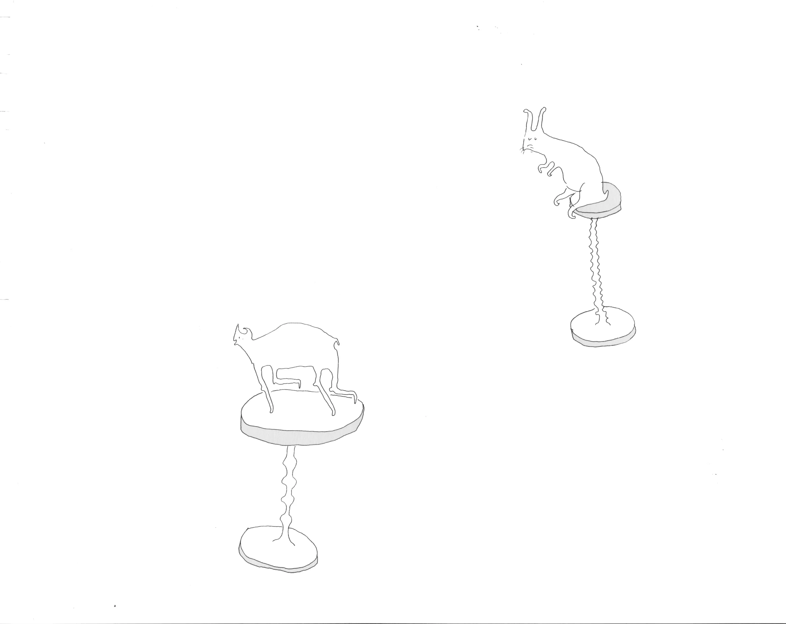 leap 17.jpg