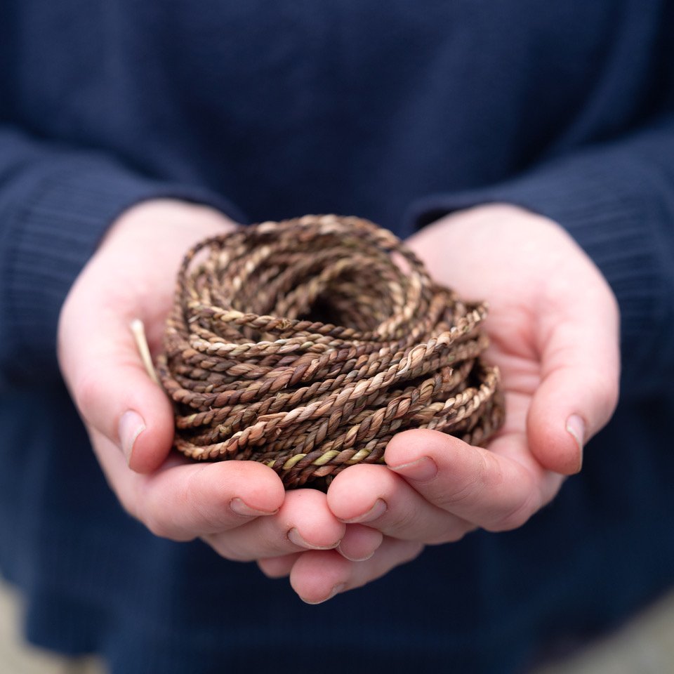 Alice Foc Dandelion cordage photo by Tessa Bunney.jpeg