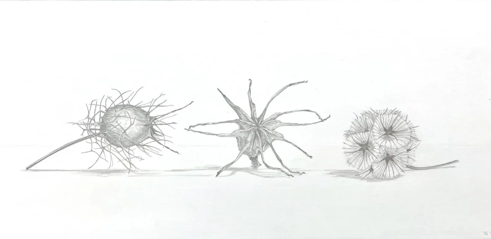 silverpoint_pods.jpg