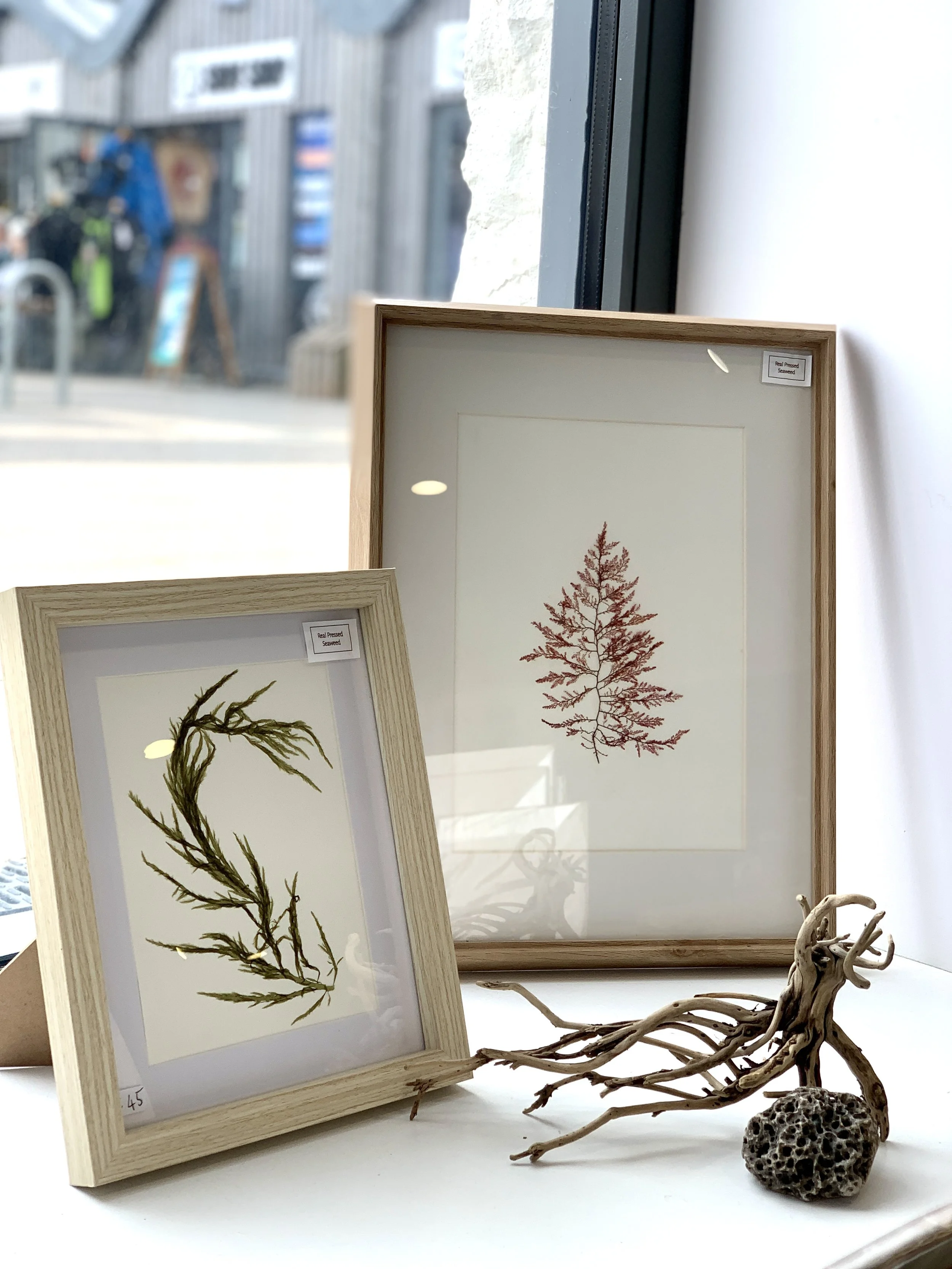 Seaweed pressing pop up shop 2.JPG