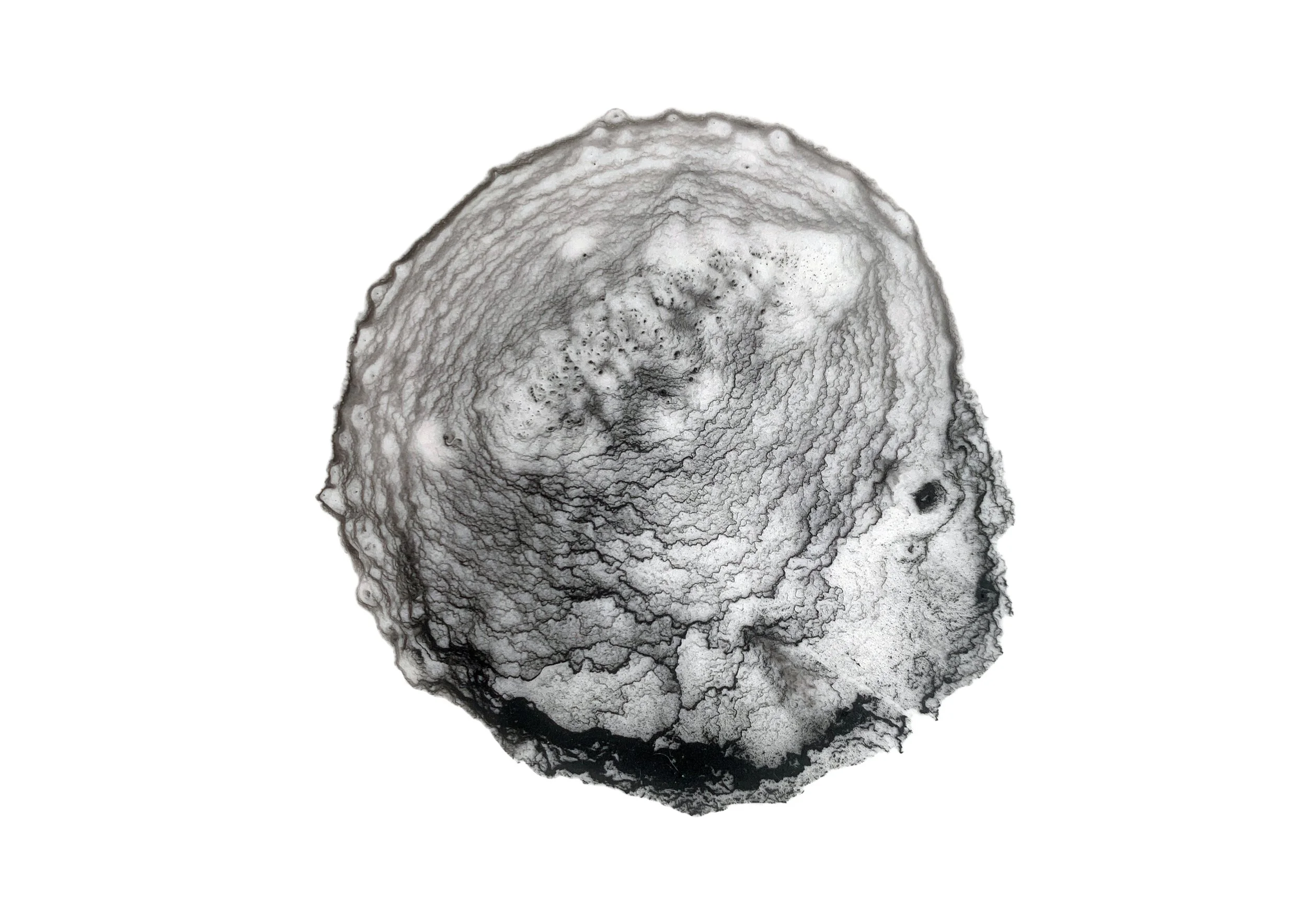 Leave No Trace_Molly Macleod_Promo pic 2 copy.jpg