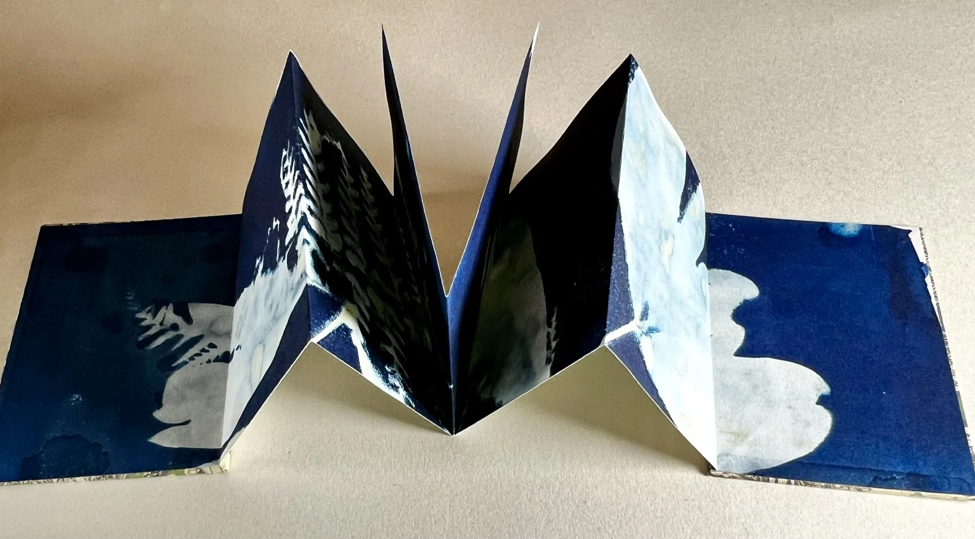 image6.jpeg