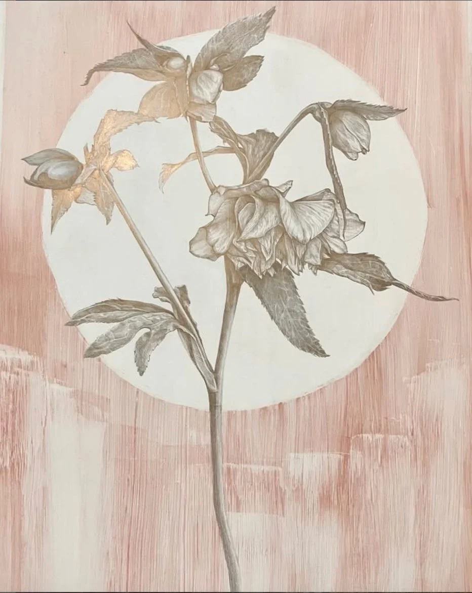silverpoint_hellebore.jpg