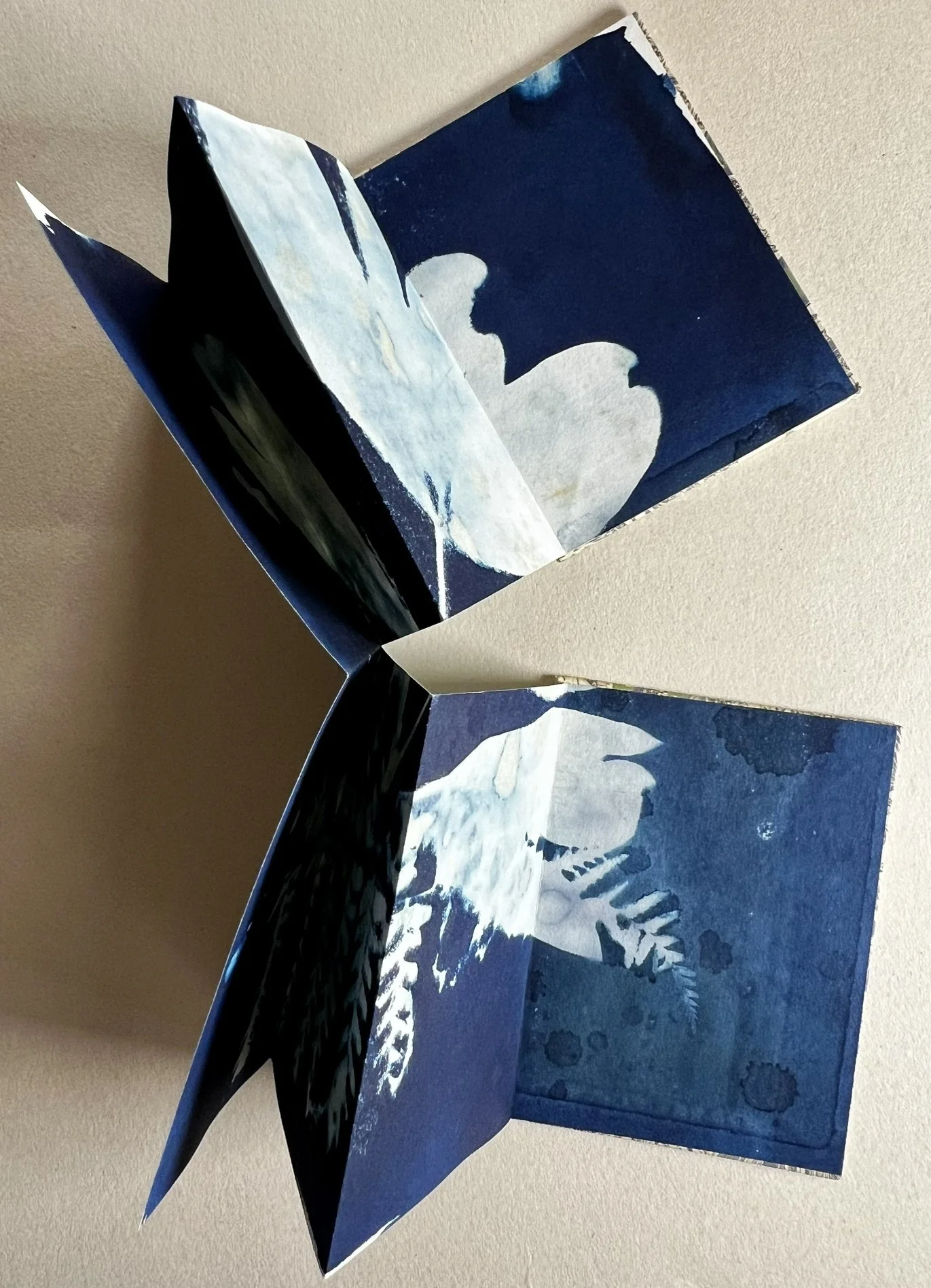 image5.jpeg