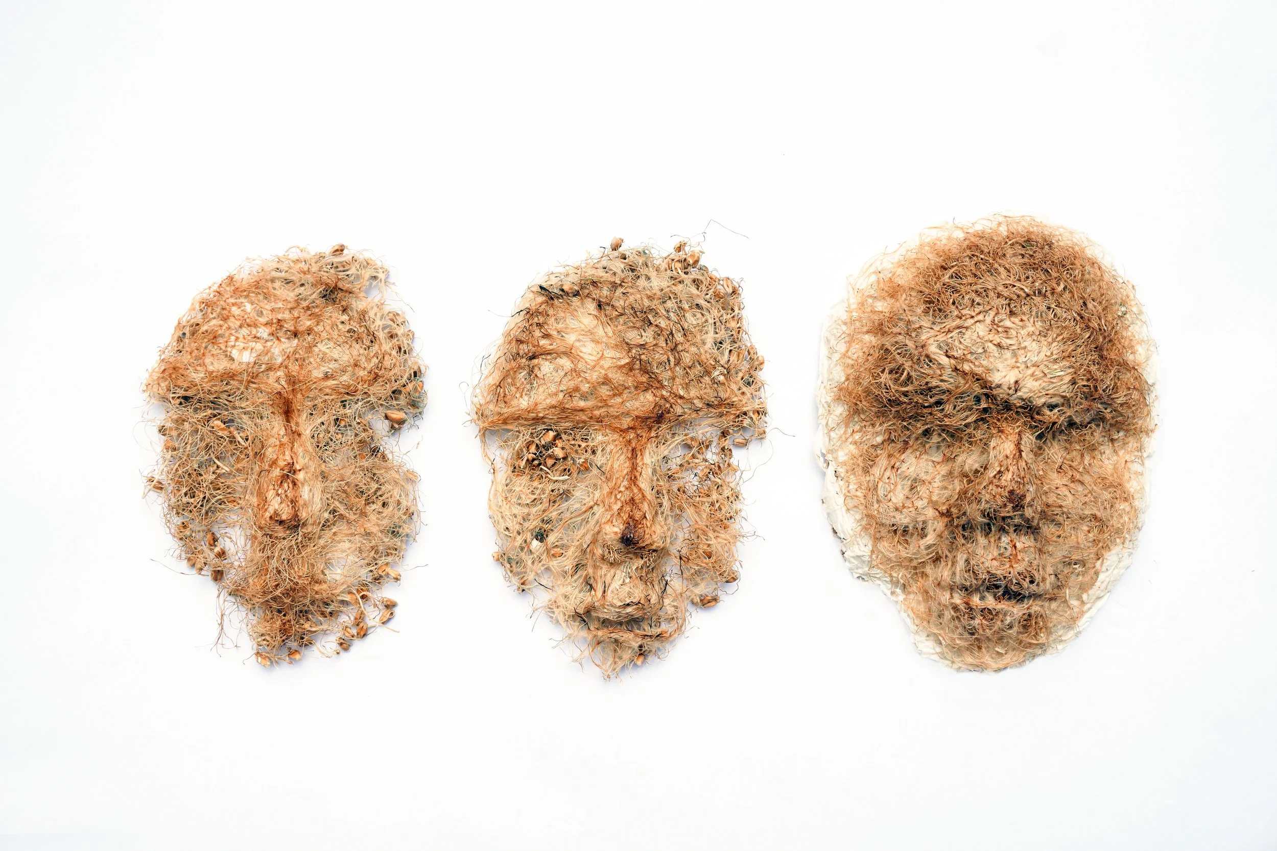 Evolve_Molly Macleod.jpg