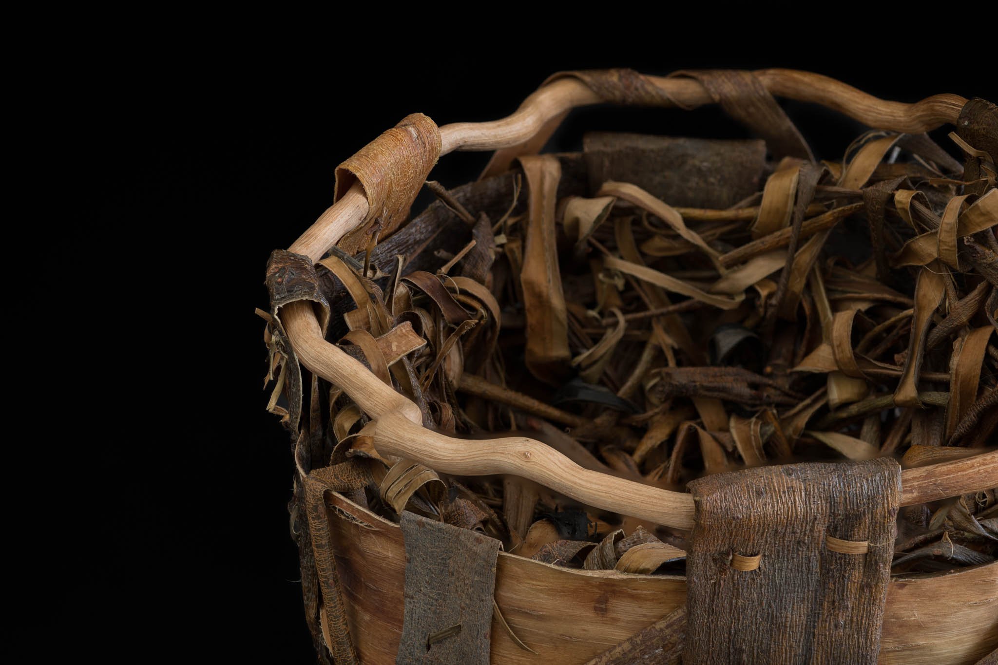 christi_york_2024-08-22 17-25-09 (B,R8,S4)_60.jpg