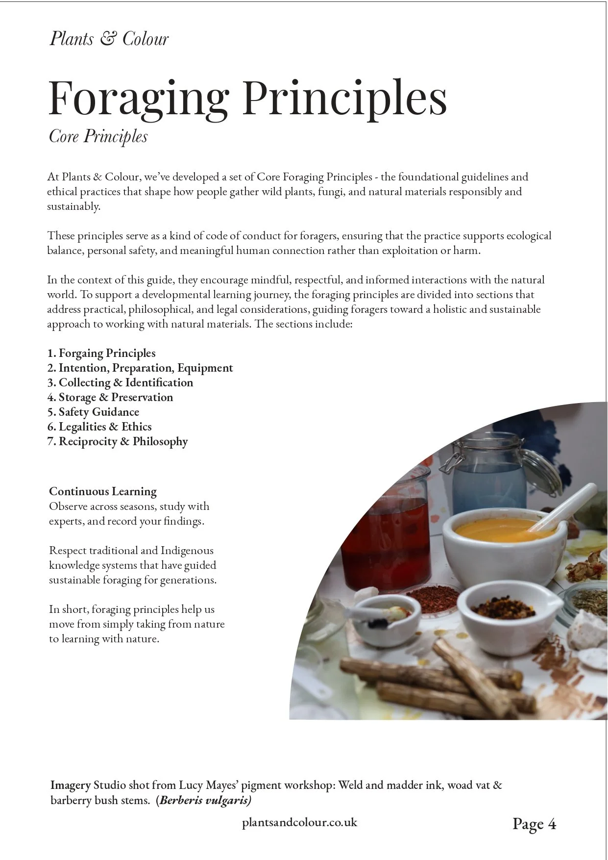 1.Introduction_and_Foraging_Principles (1)-page-00006.jpg