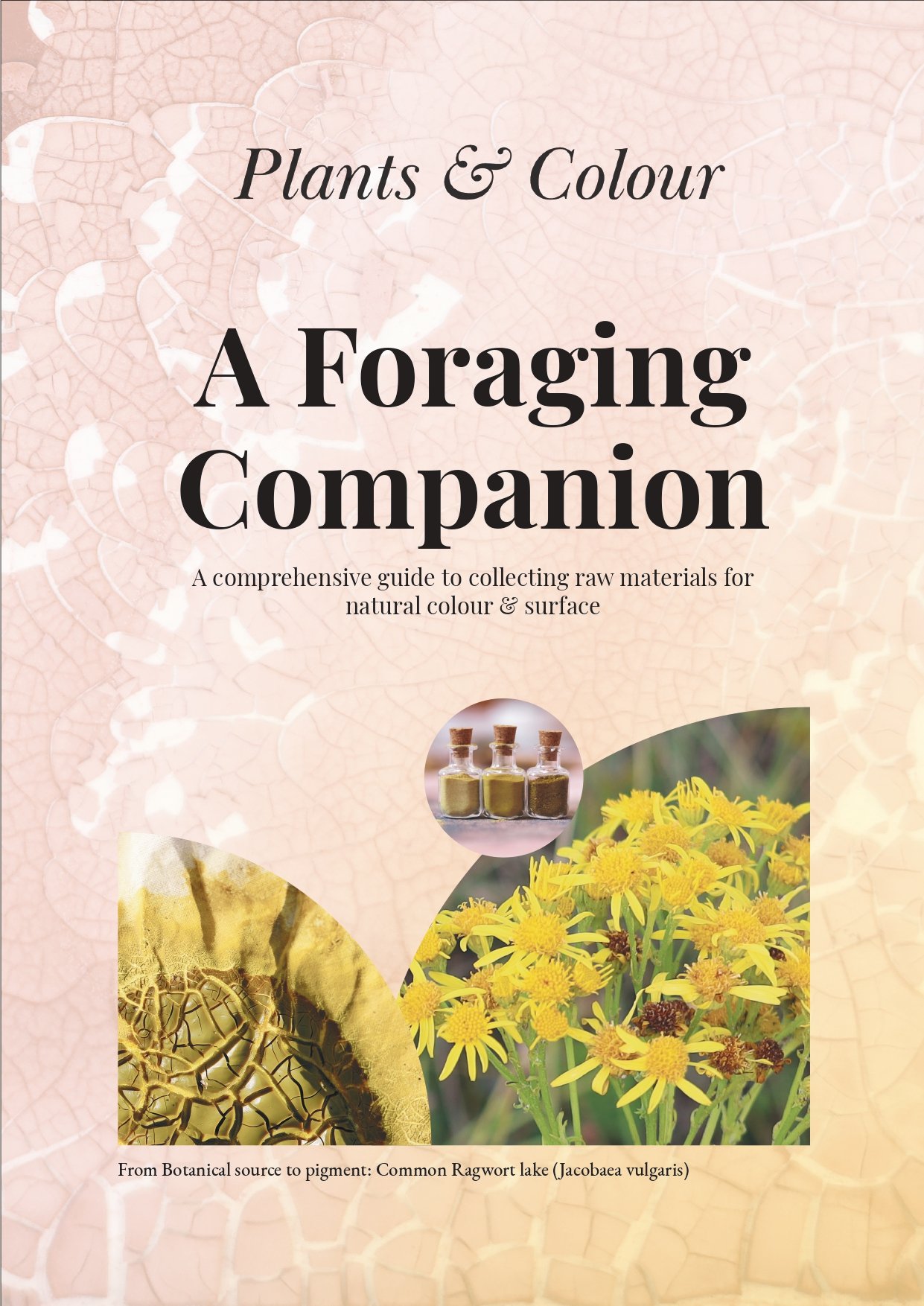 1.Introduction_and_Foraging_Principles (1)-page-00001.jpg