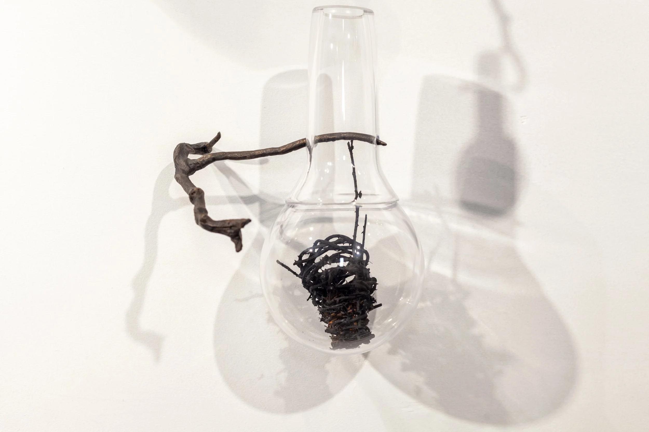 Annie Hogg LOST bramble I copy.jpg