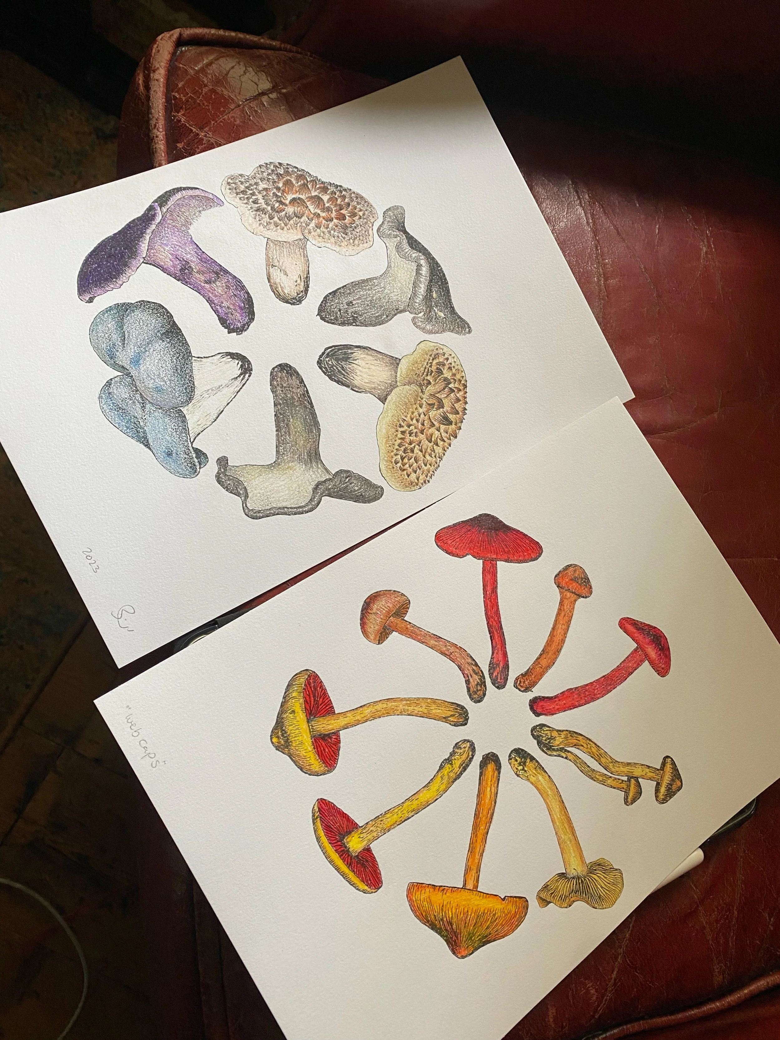 02 MCA Illustration.jpg