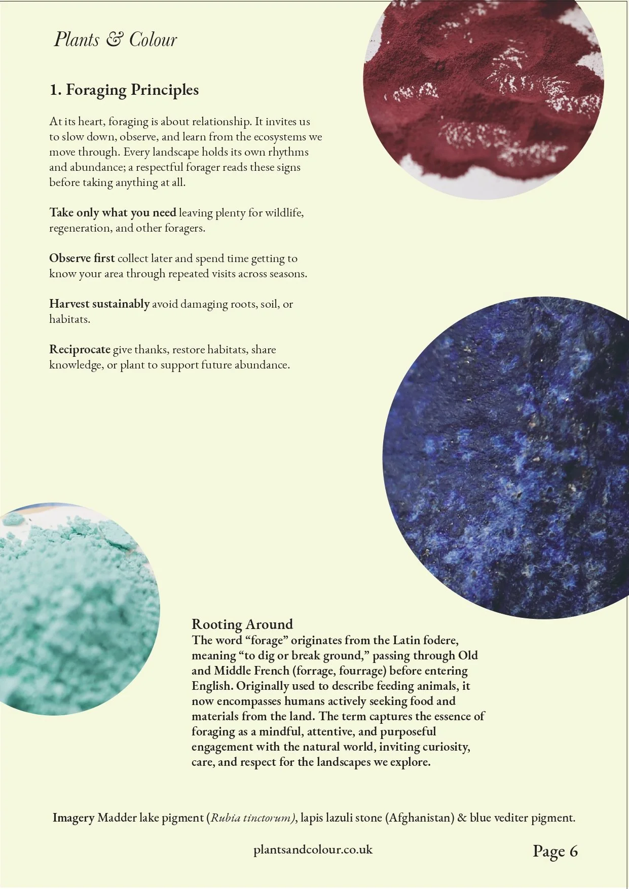 1.Introduction_and_Foraging_Principles (1)-page-00008.jpg
