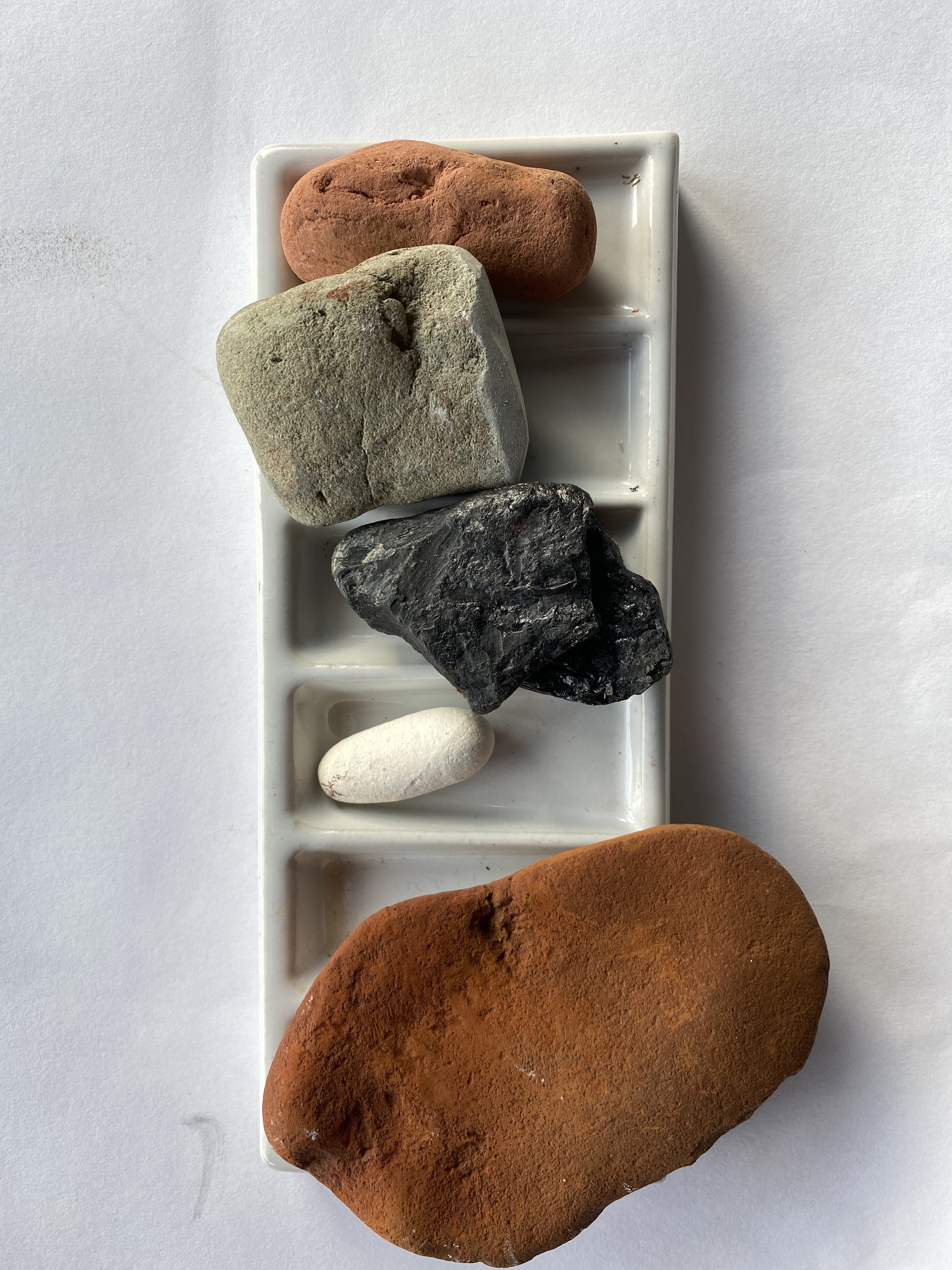 Beach foraged colours.jpg