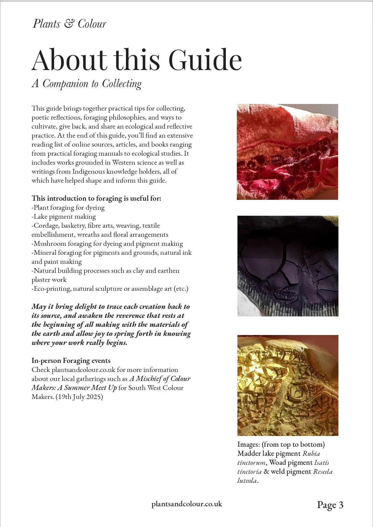1.Introduction_and_Foraging_Principles (1)-page-00005.jpg