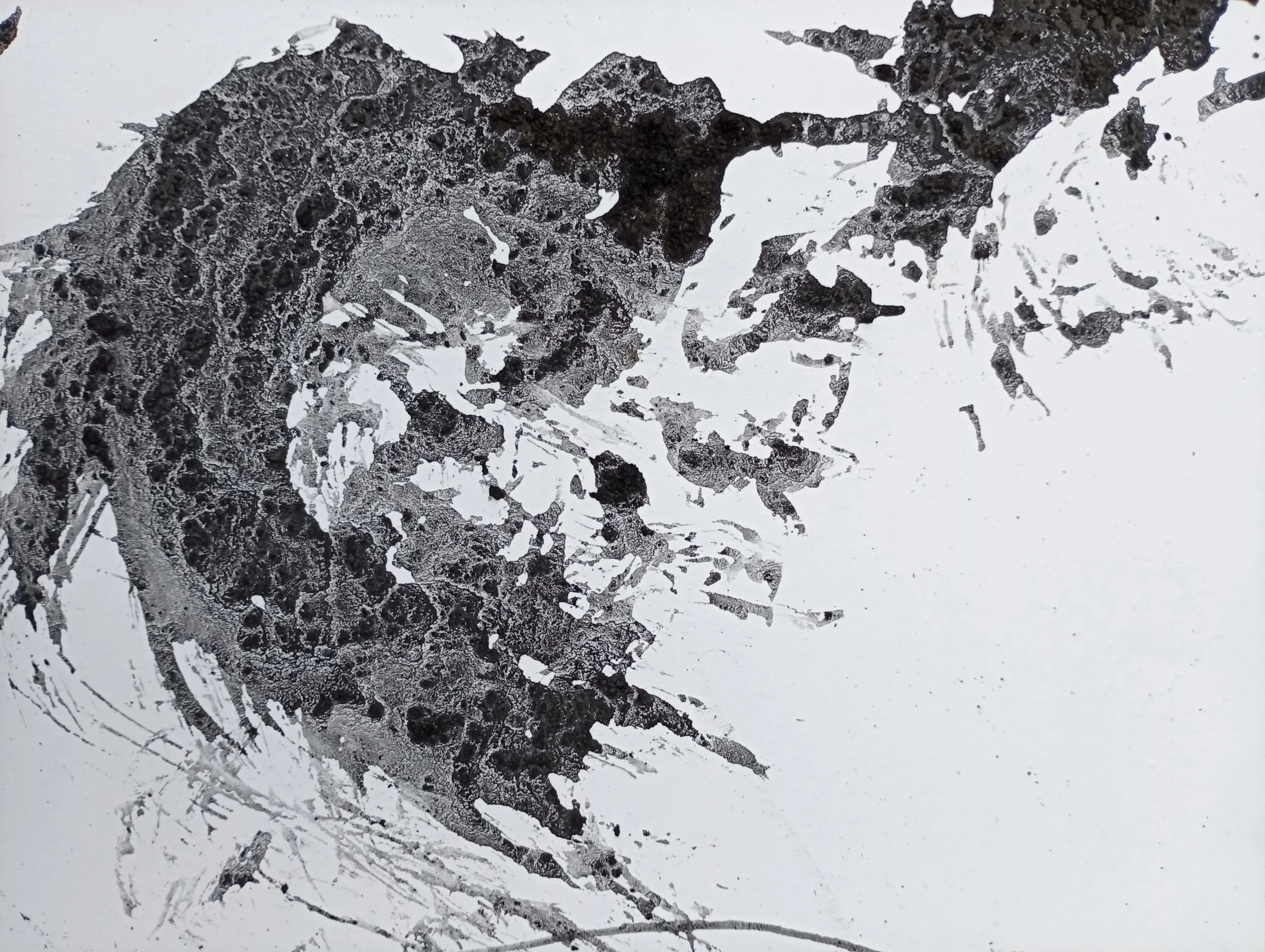 Begley charcoal ink mark making.jpg