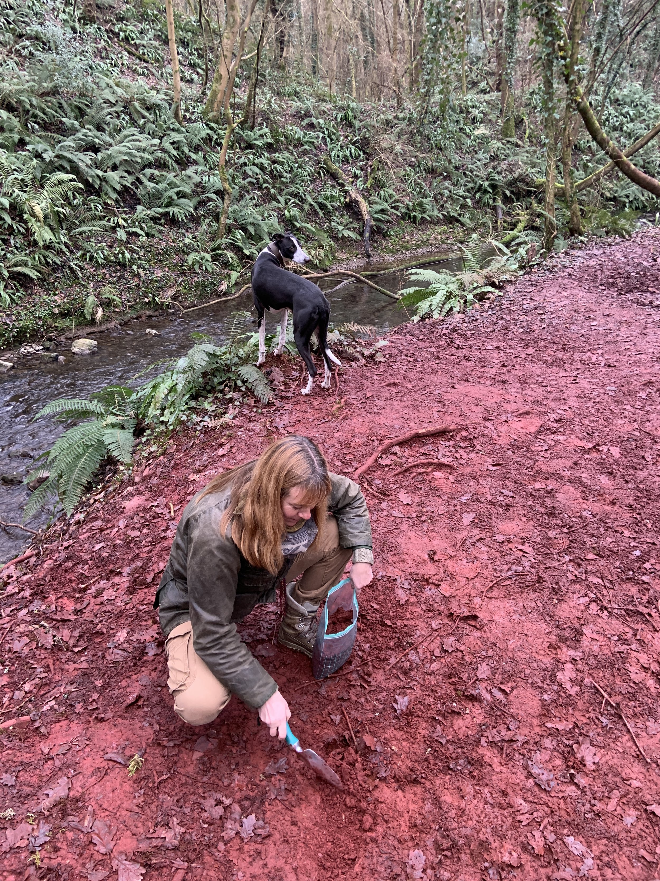 foraging+for+red.jpeg