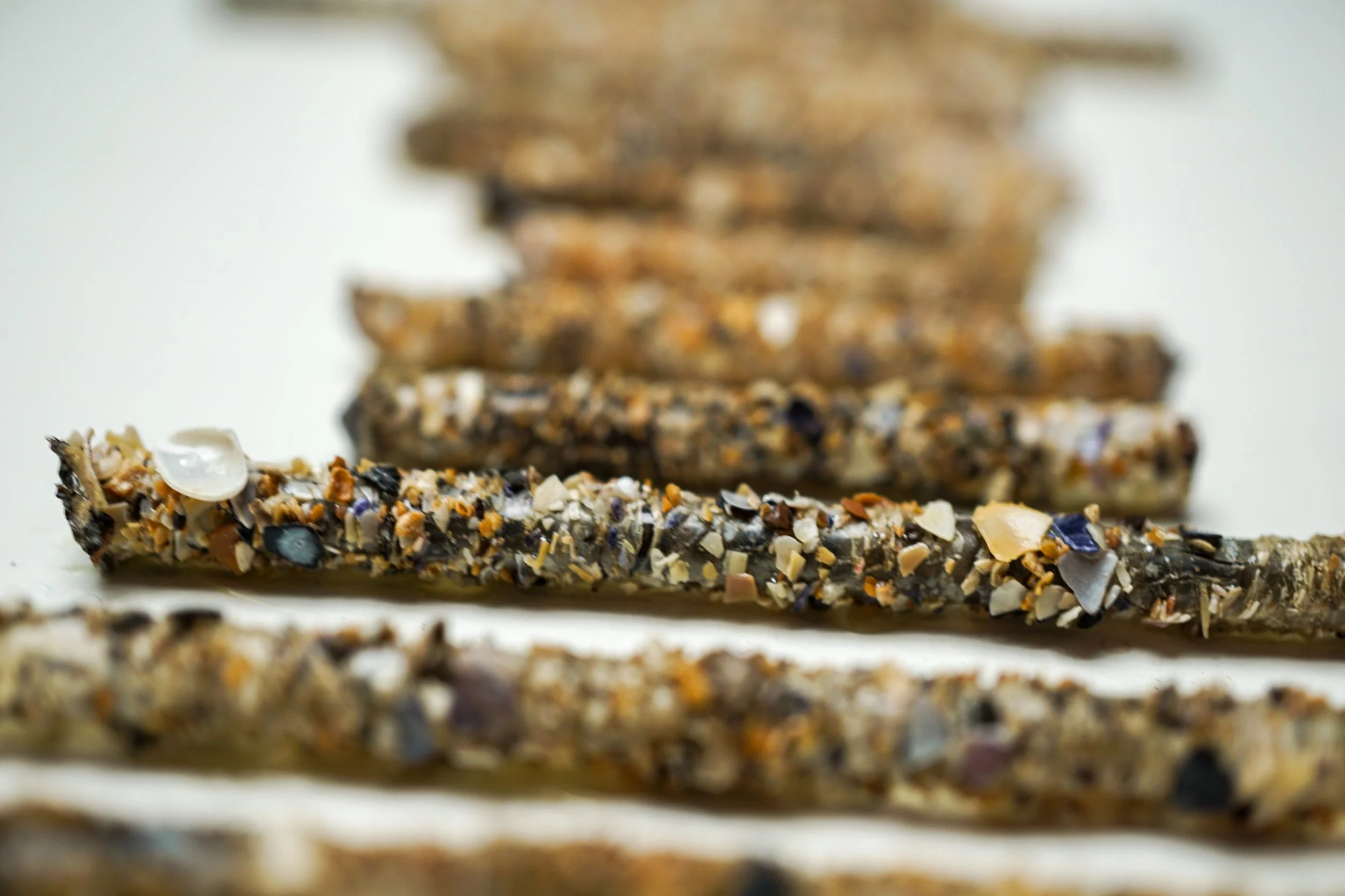 Tidewrack, close up.jpg