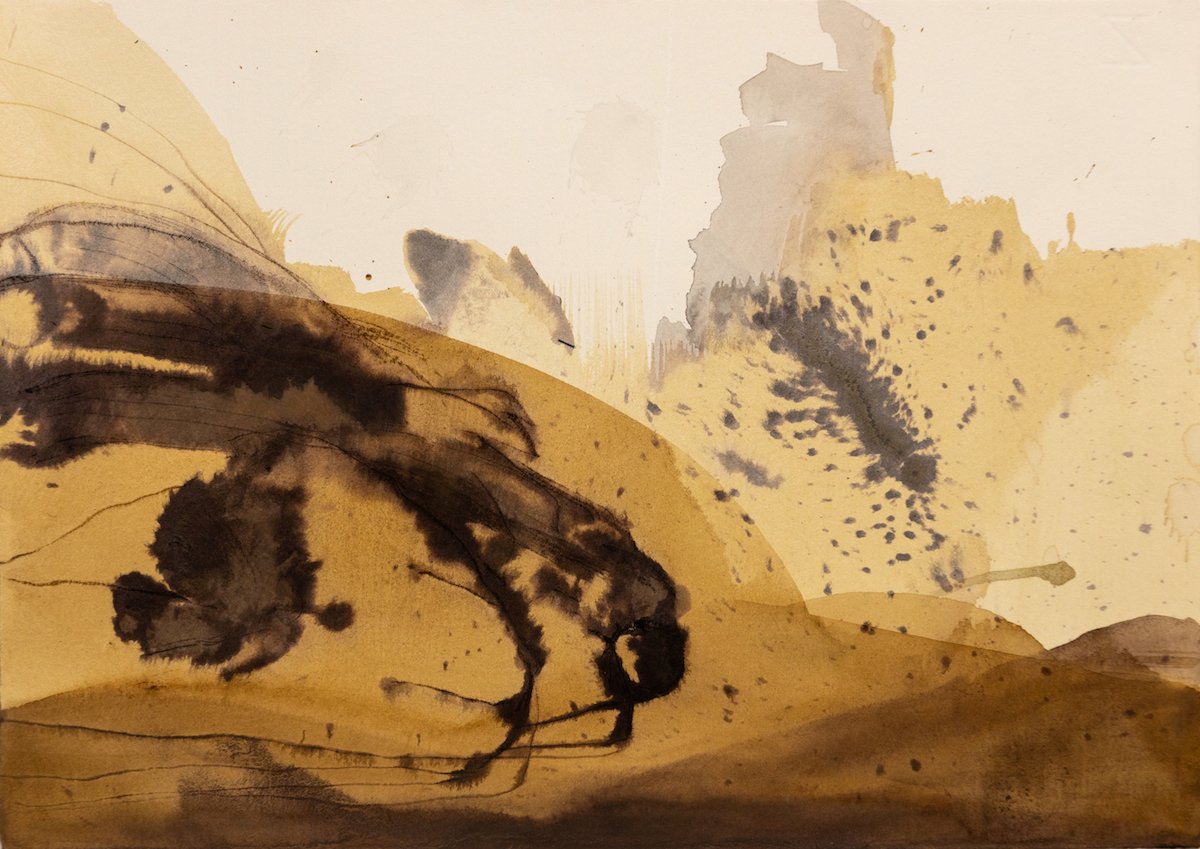 9 David Begley-fossil.jpg
