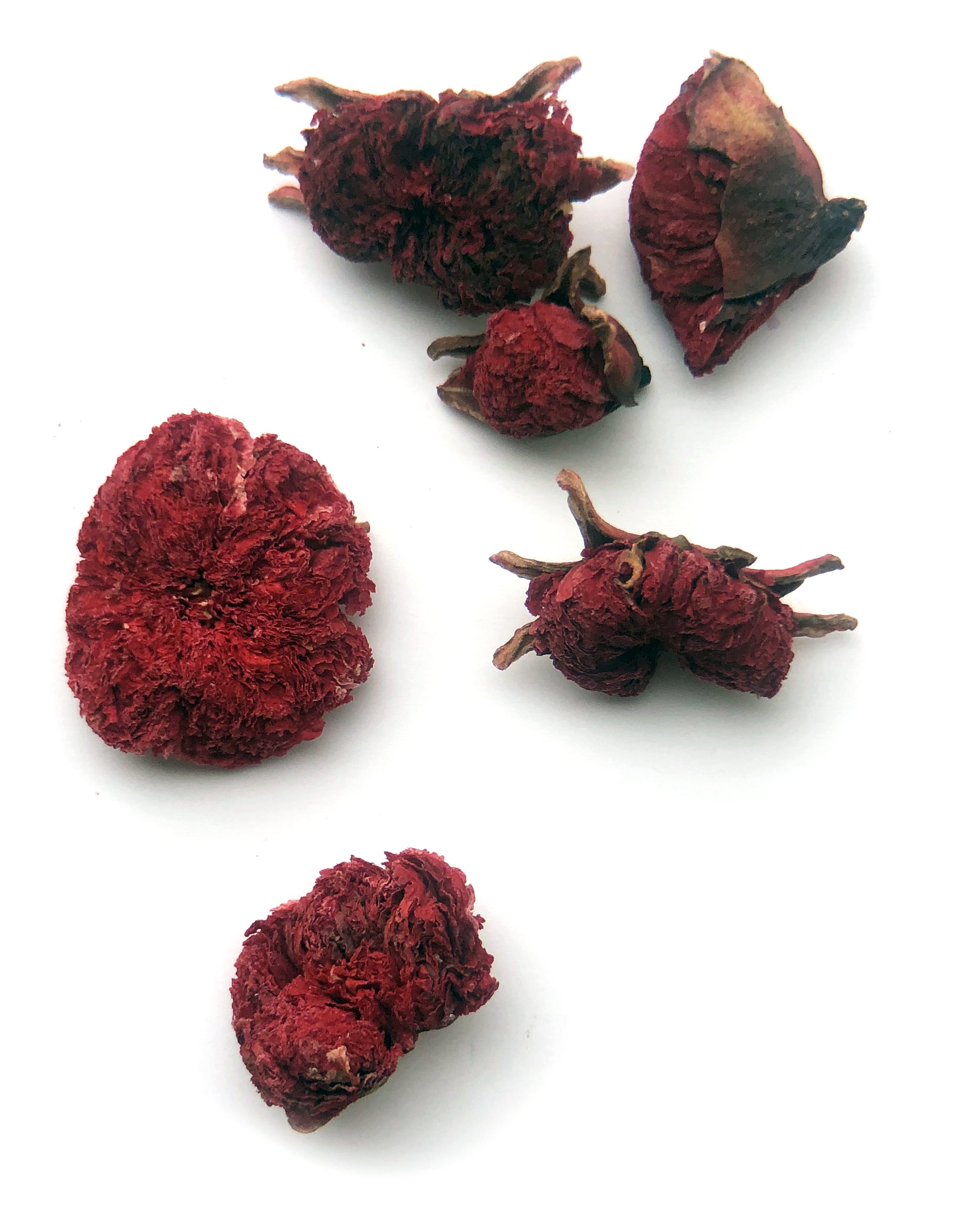 Pom flower.jpg