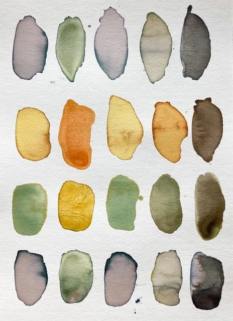 PlantSwatch copy.jpeg