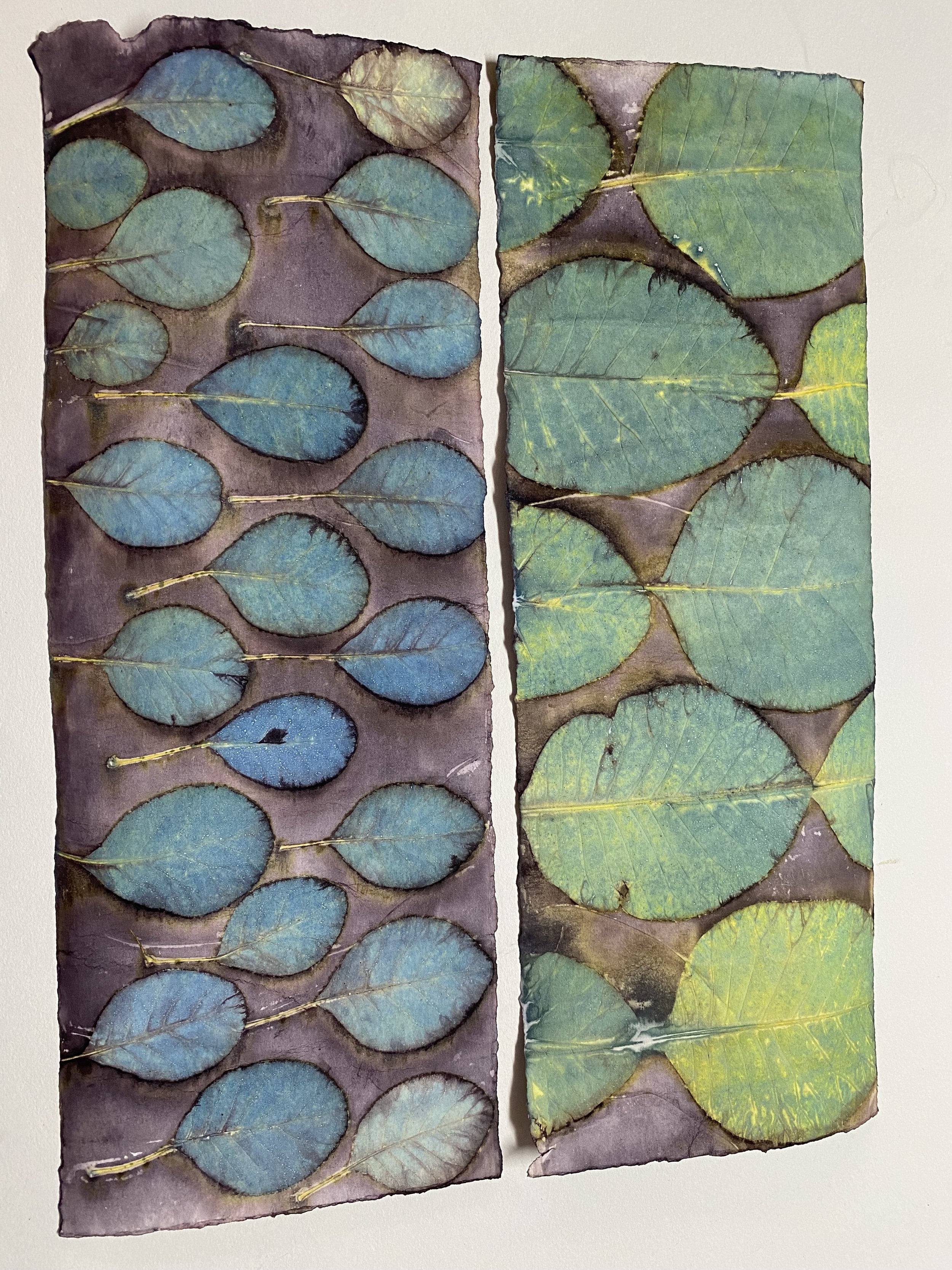 IMG_7605.jpg