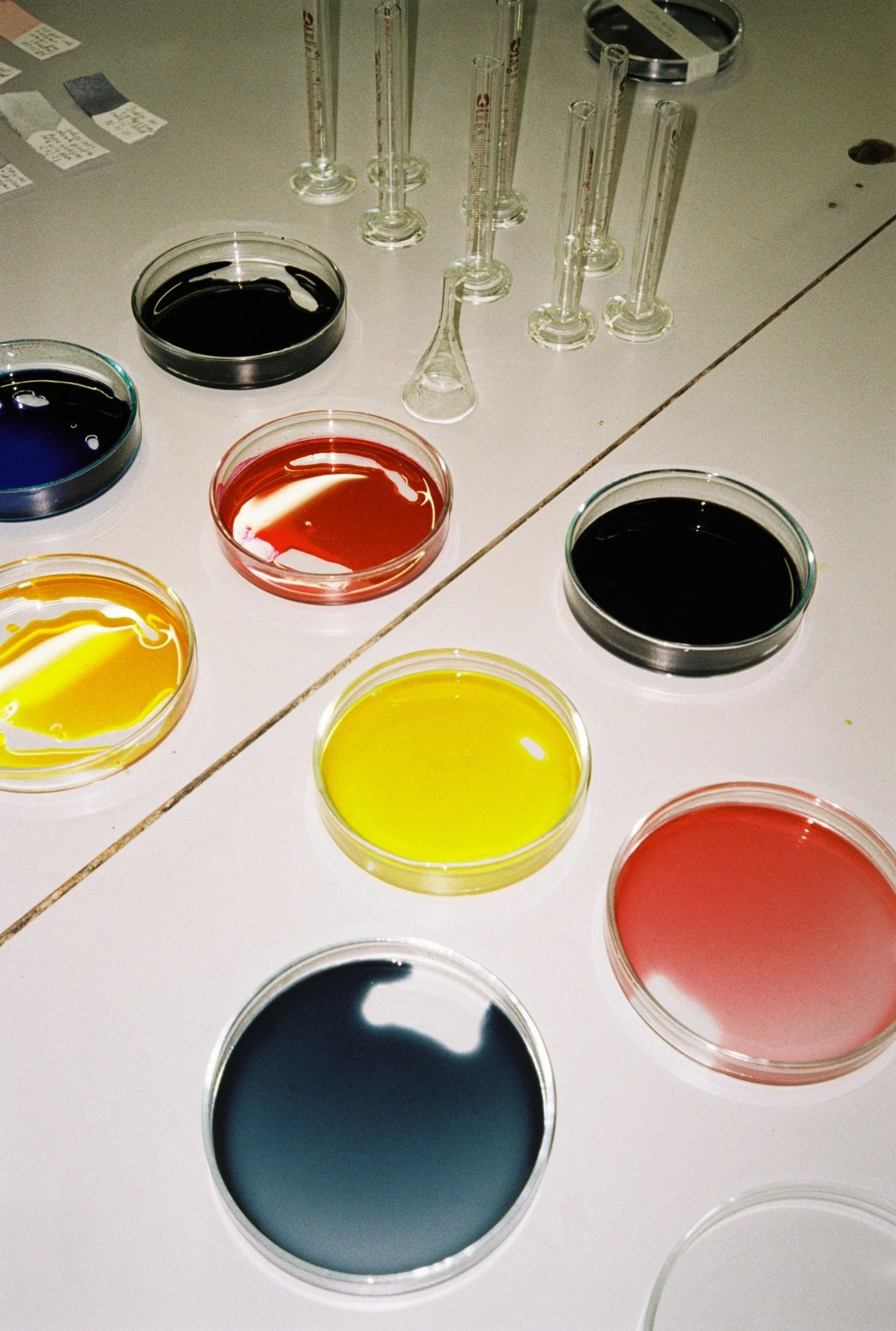 3.Greta_Making Algae Ink for Markers.JPG