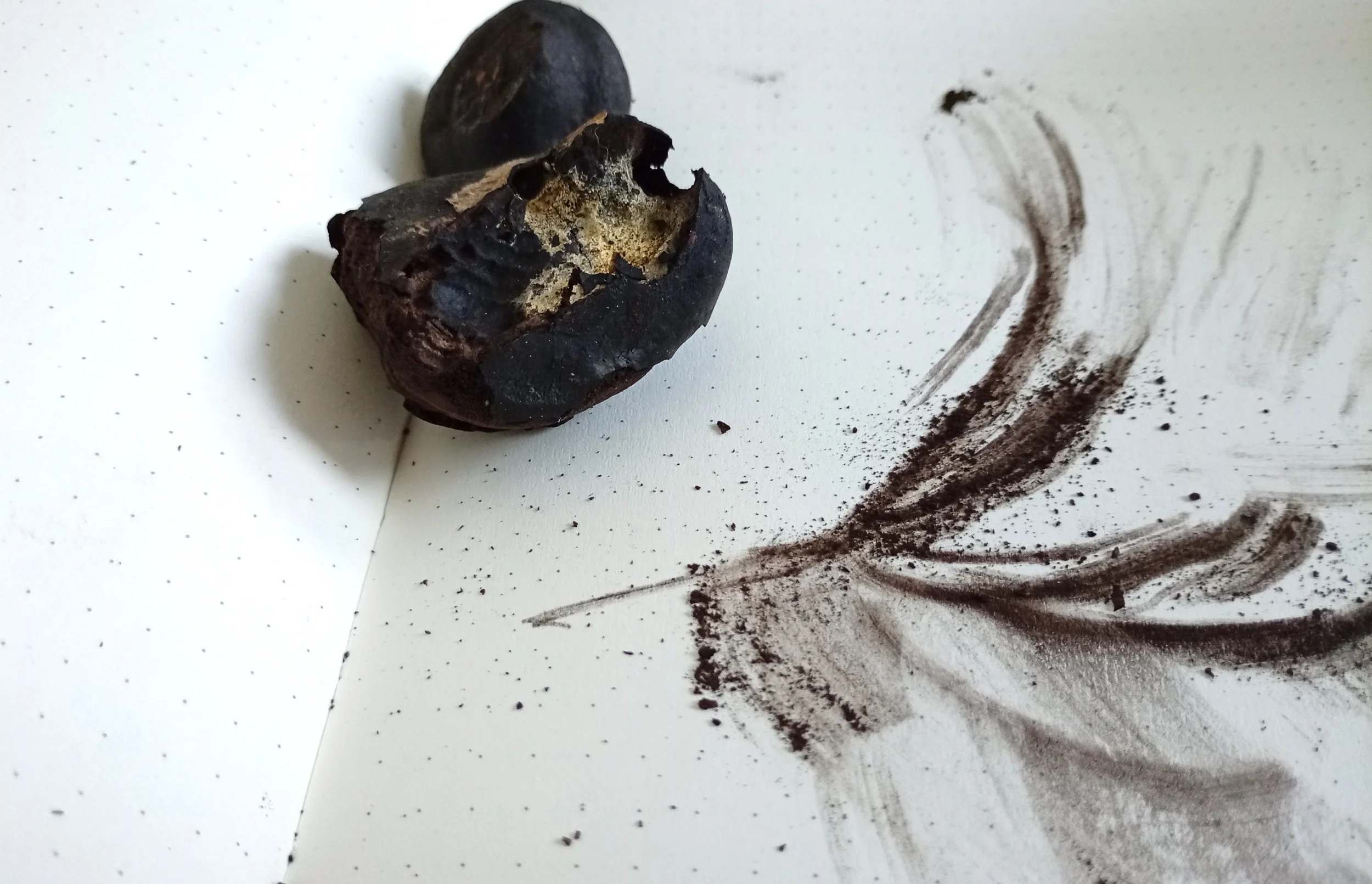 Cramp ball notebook.jpg