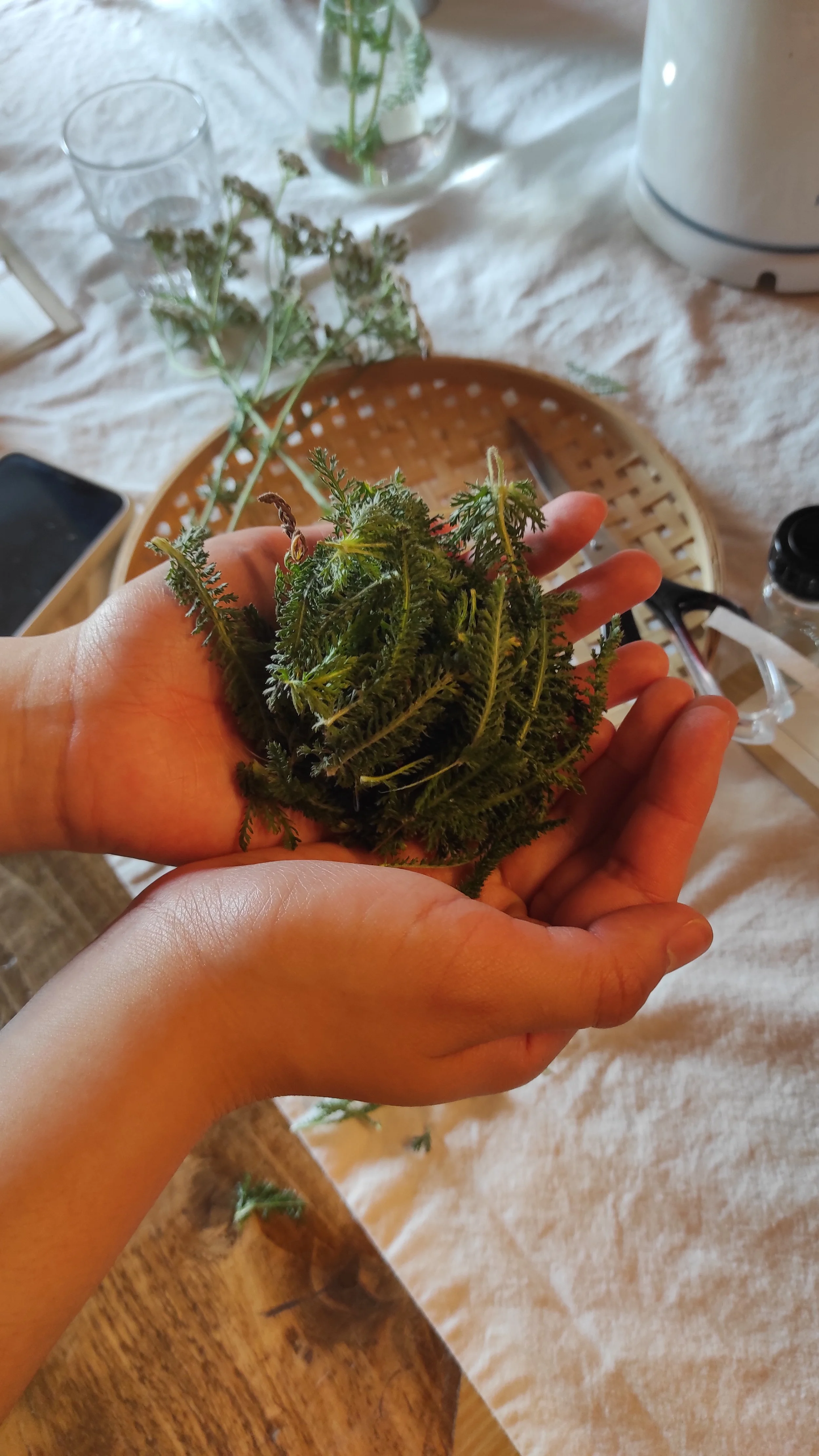 Yarrow_Greta 7.jpg