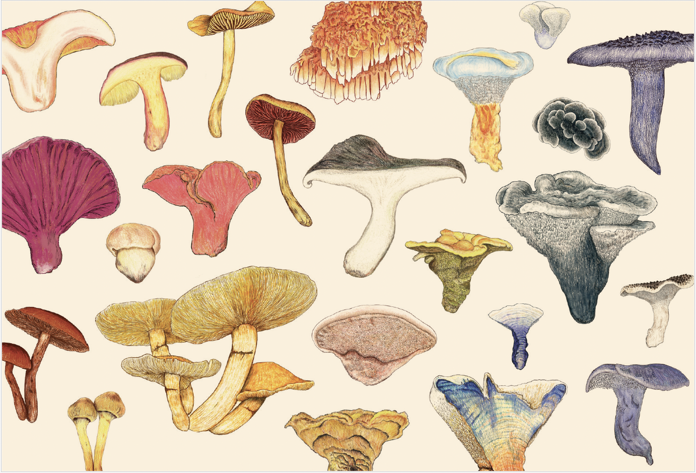 01 MCA Illustration.png