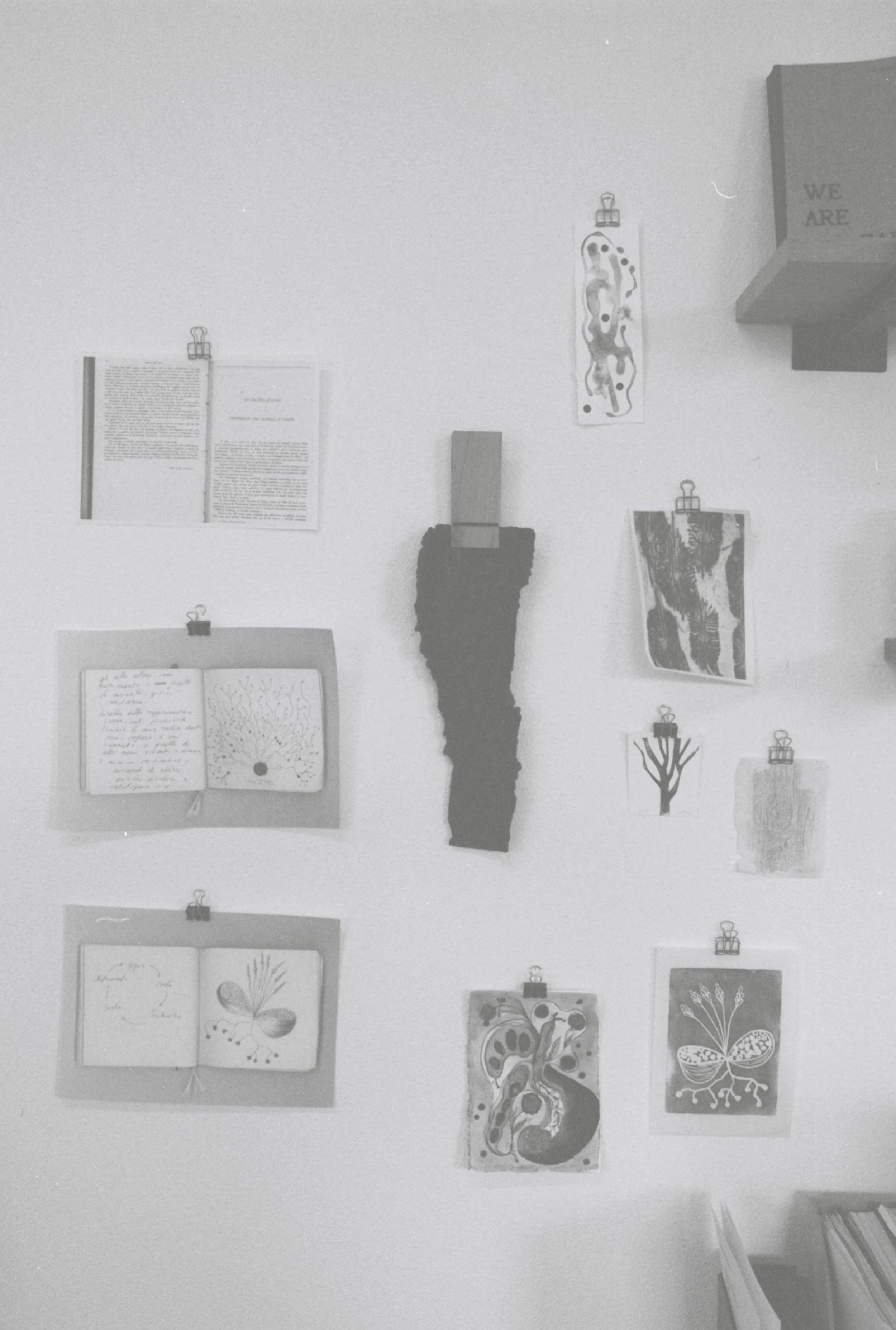 GRETA_favourite plants_raw materials.jpg