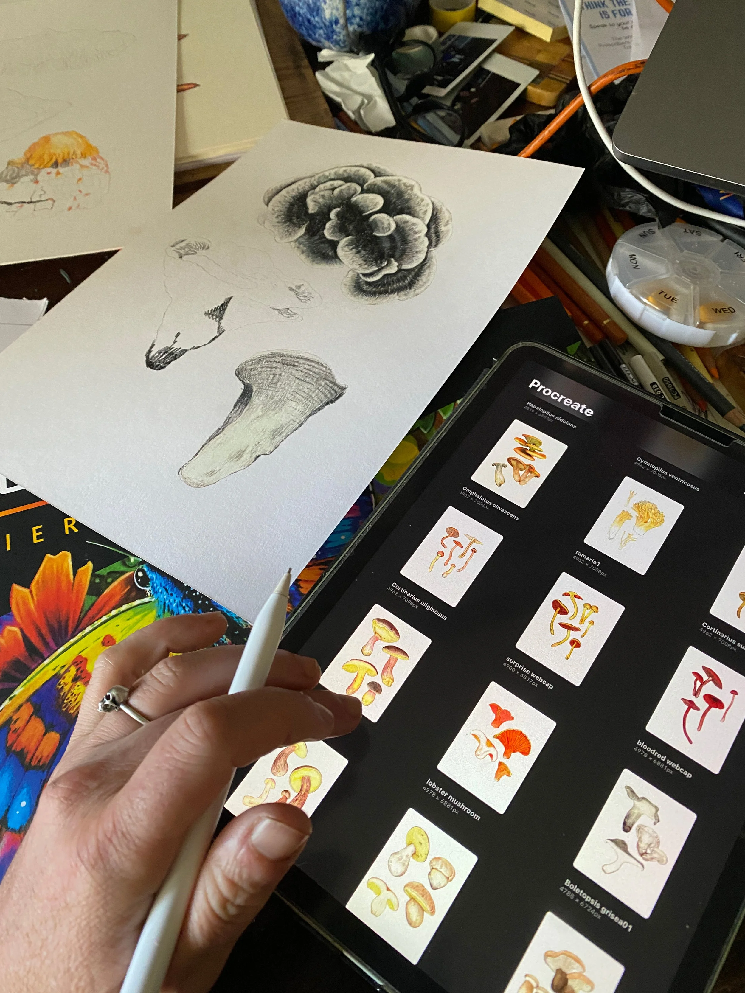 06 MCA Illustration.jpg