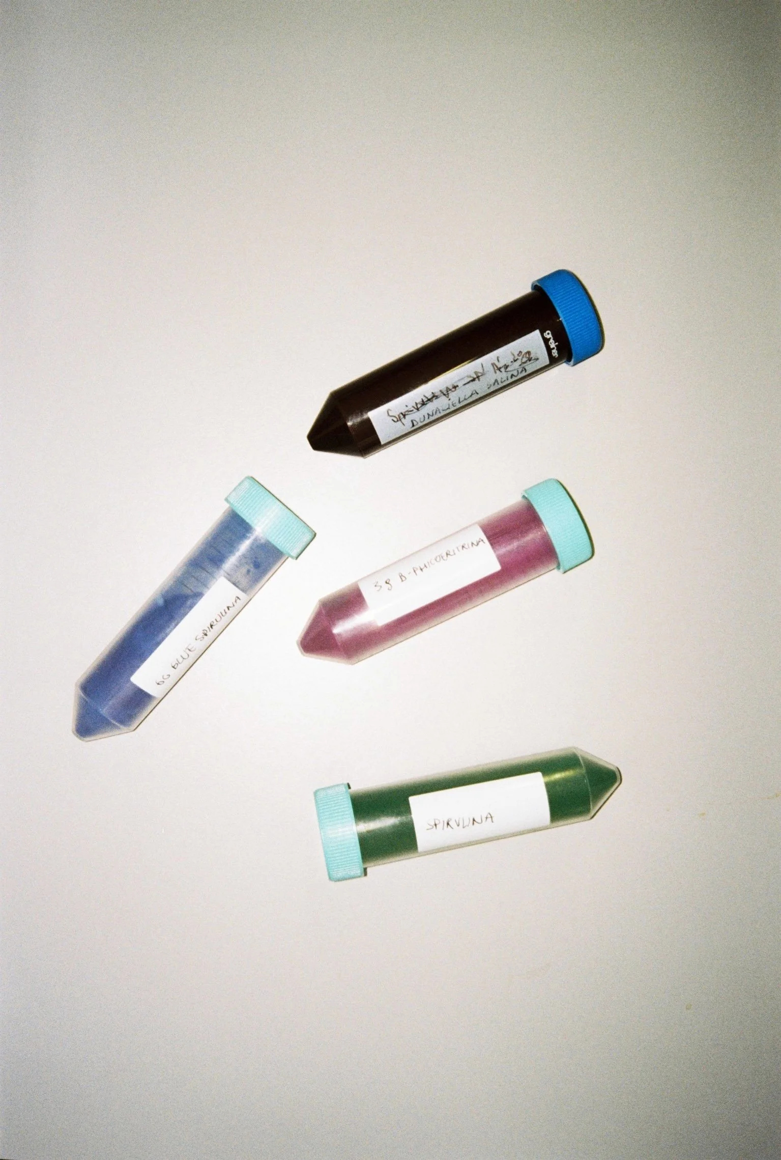 1.Greta_Making Algae Ink for Markers.JPG