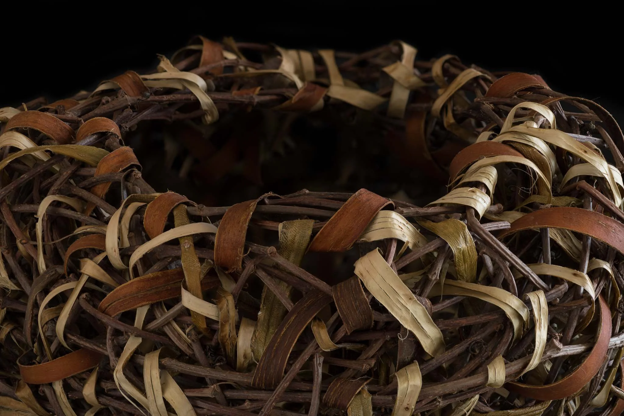 christi_york_2024-08-22 17-29-55 (B,R8,S4)_63.jpg