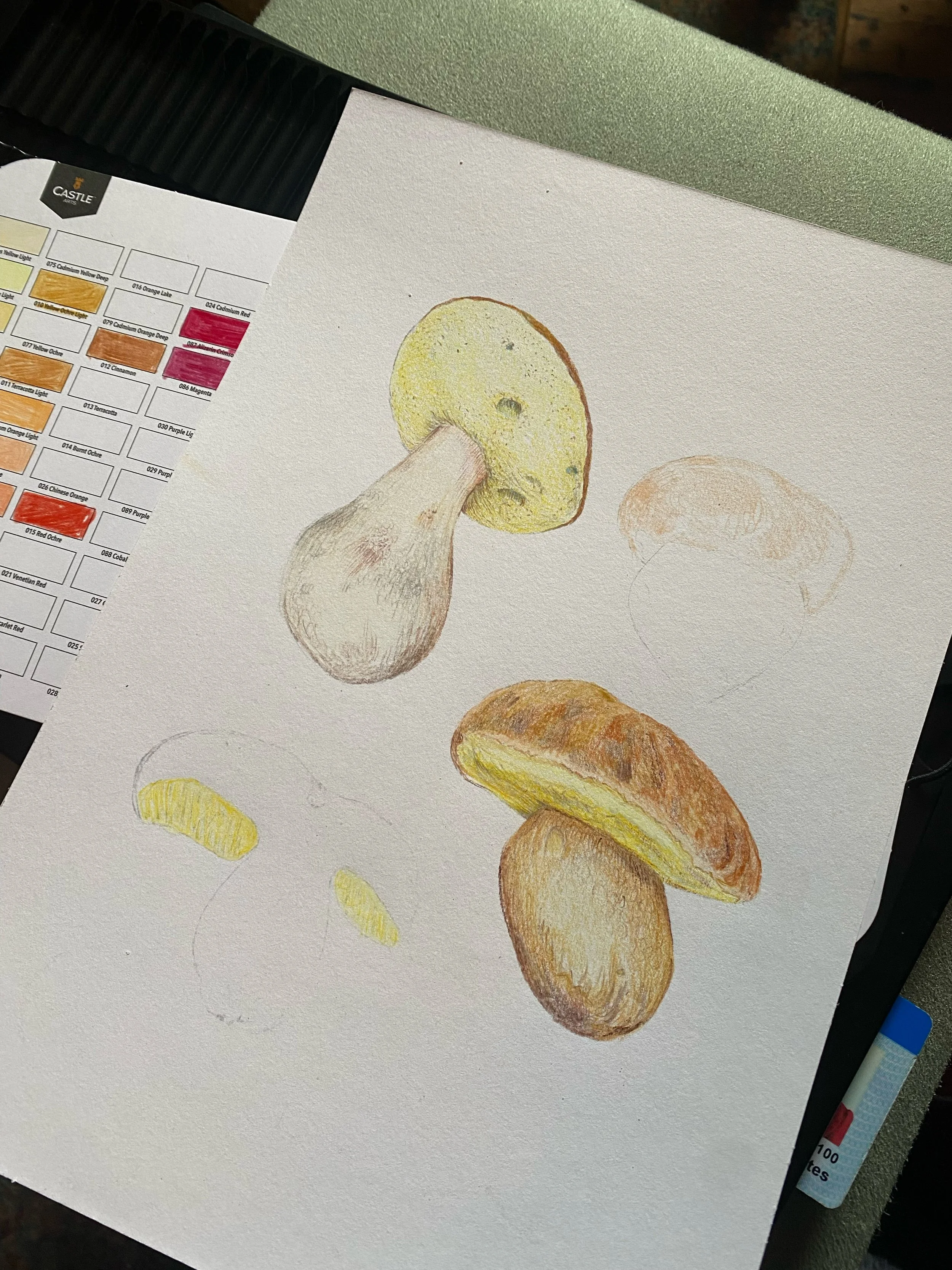 05 MCA Illustration.jpg