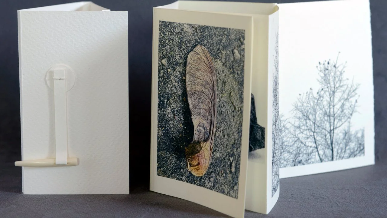 A4 single sheet preprinted with cover.jpeg