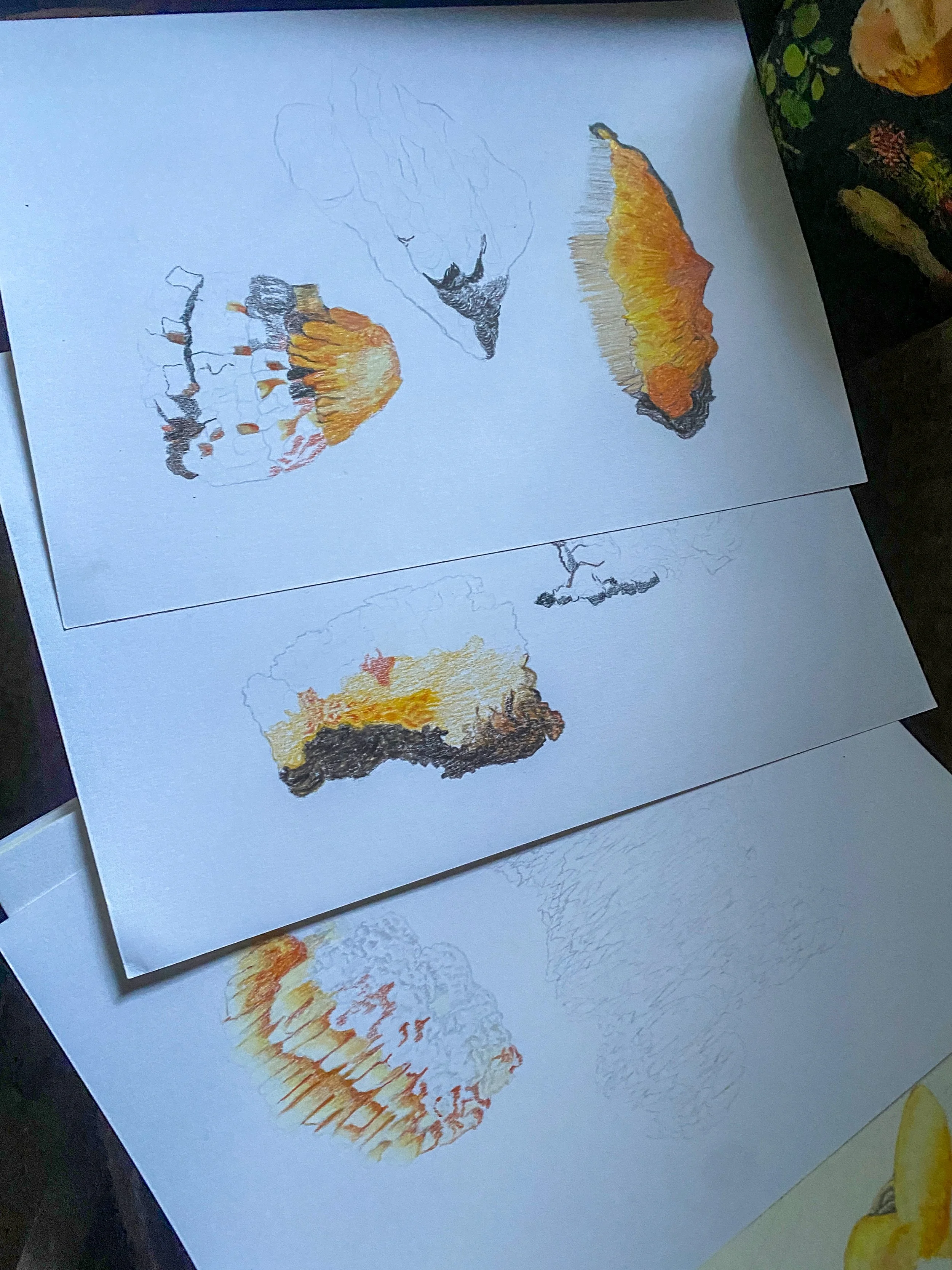 04 MCA Illustration.jpg