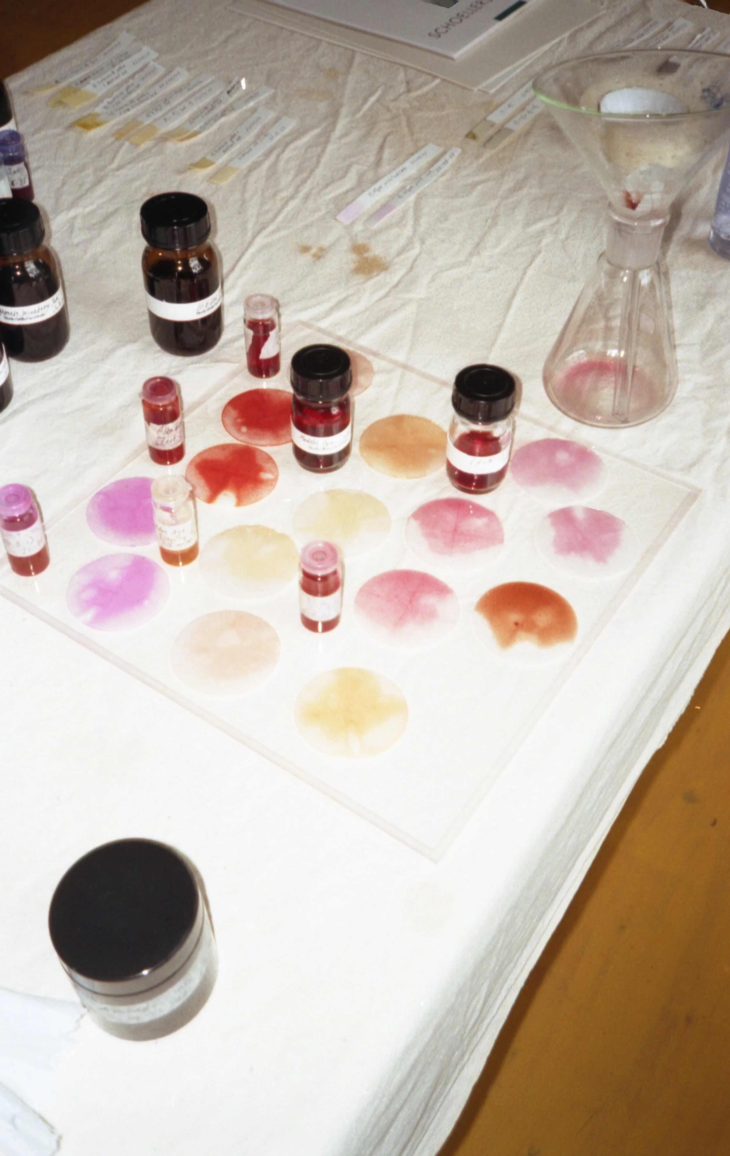 5.Greta_Making Algae Ink for Markers.jpg