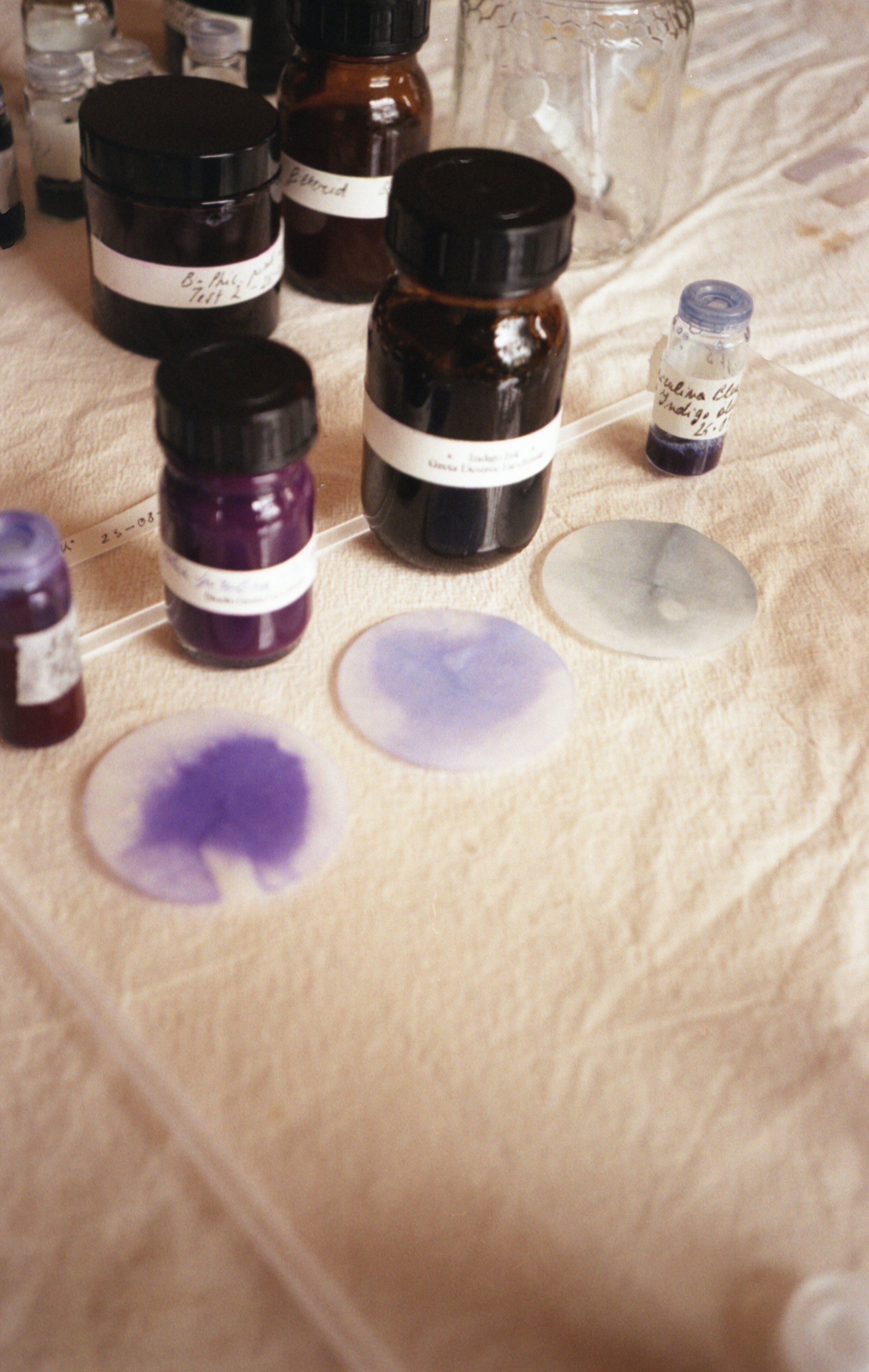 6.Greta_Making Algae Ink for Markers.jpg