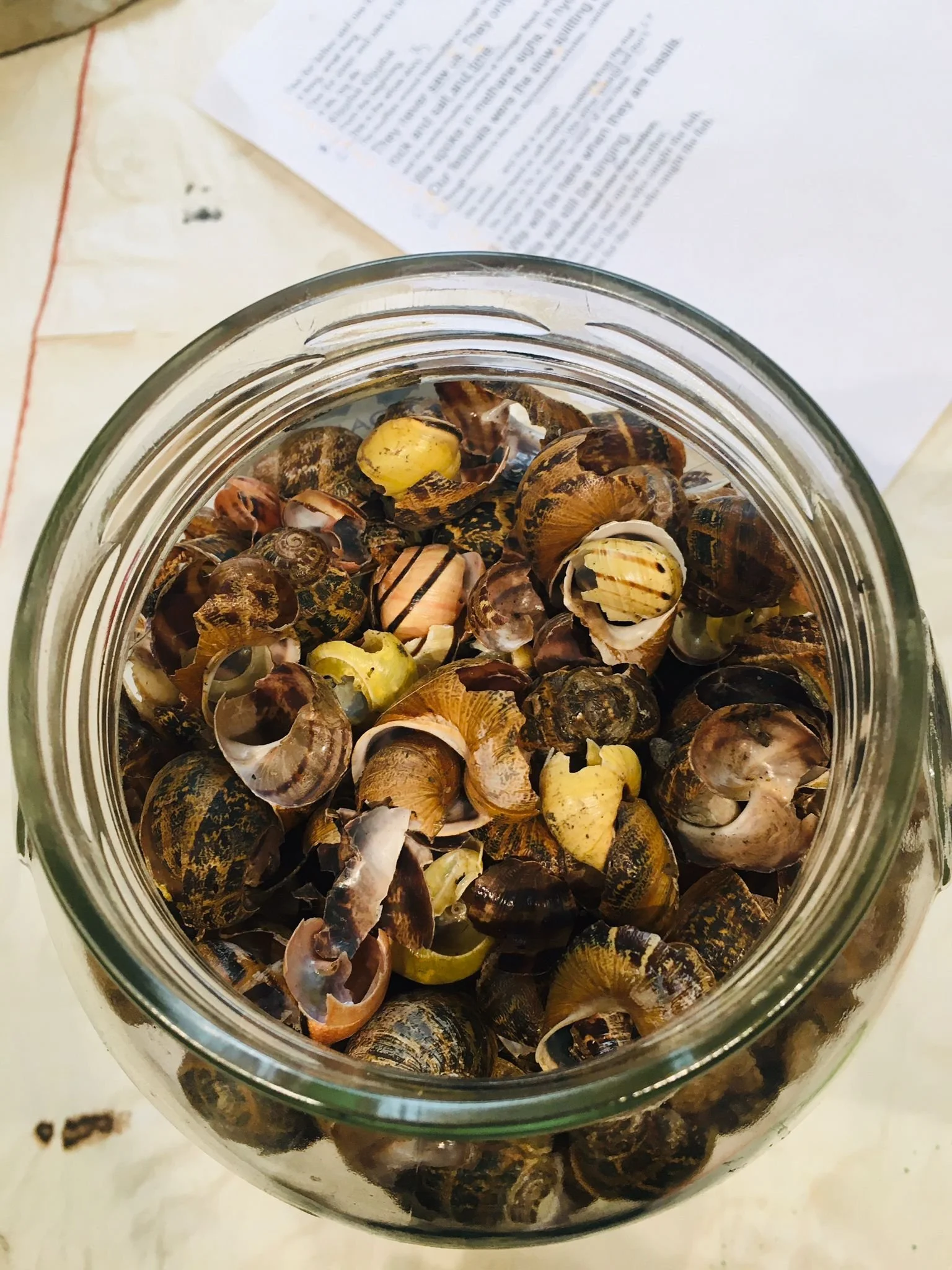 raw materials 2.jpeg