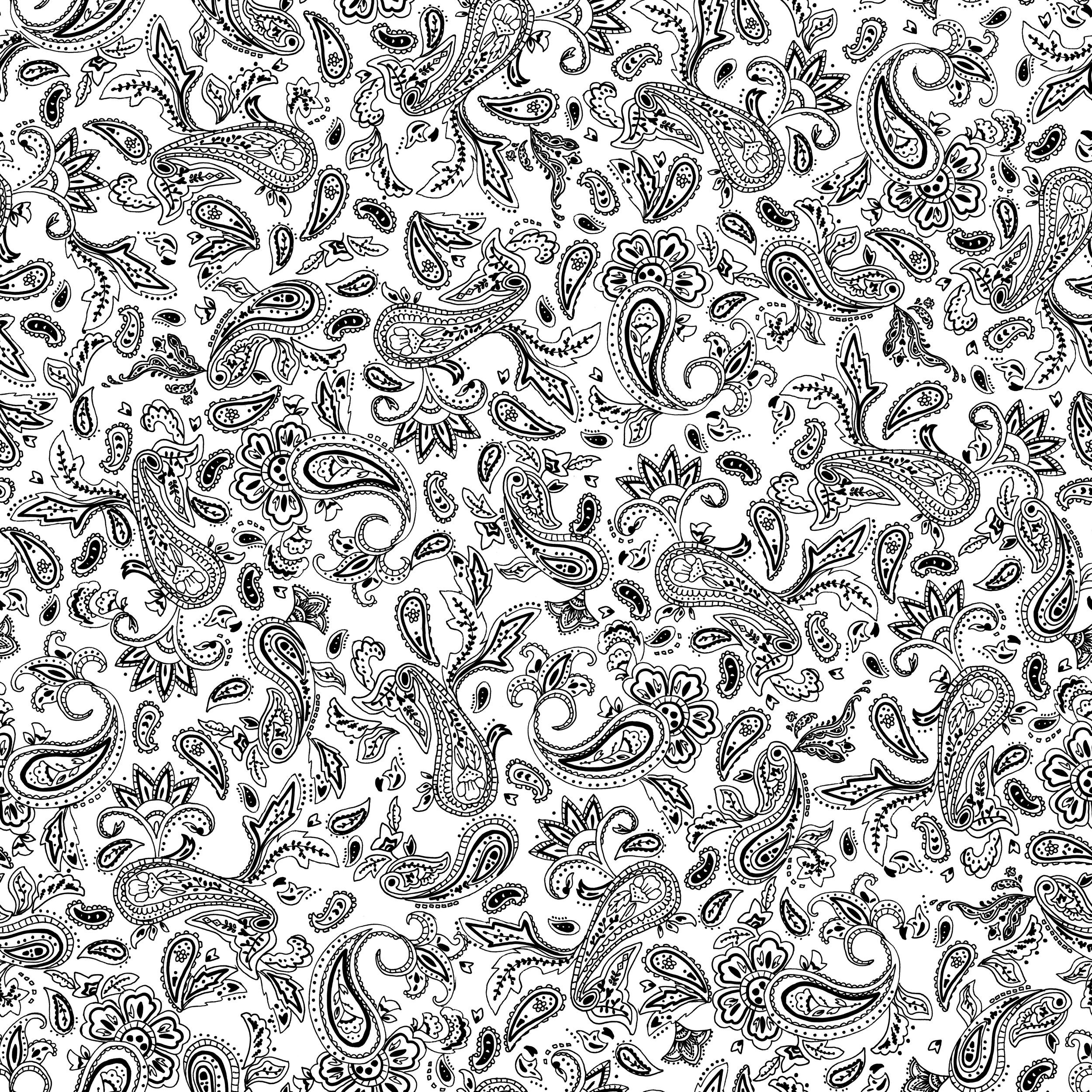 PAISLEY LINEWORK.jpg