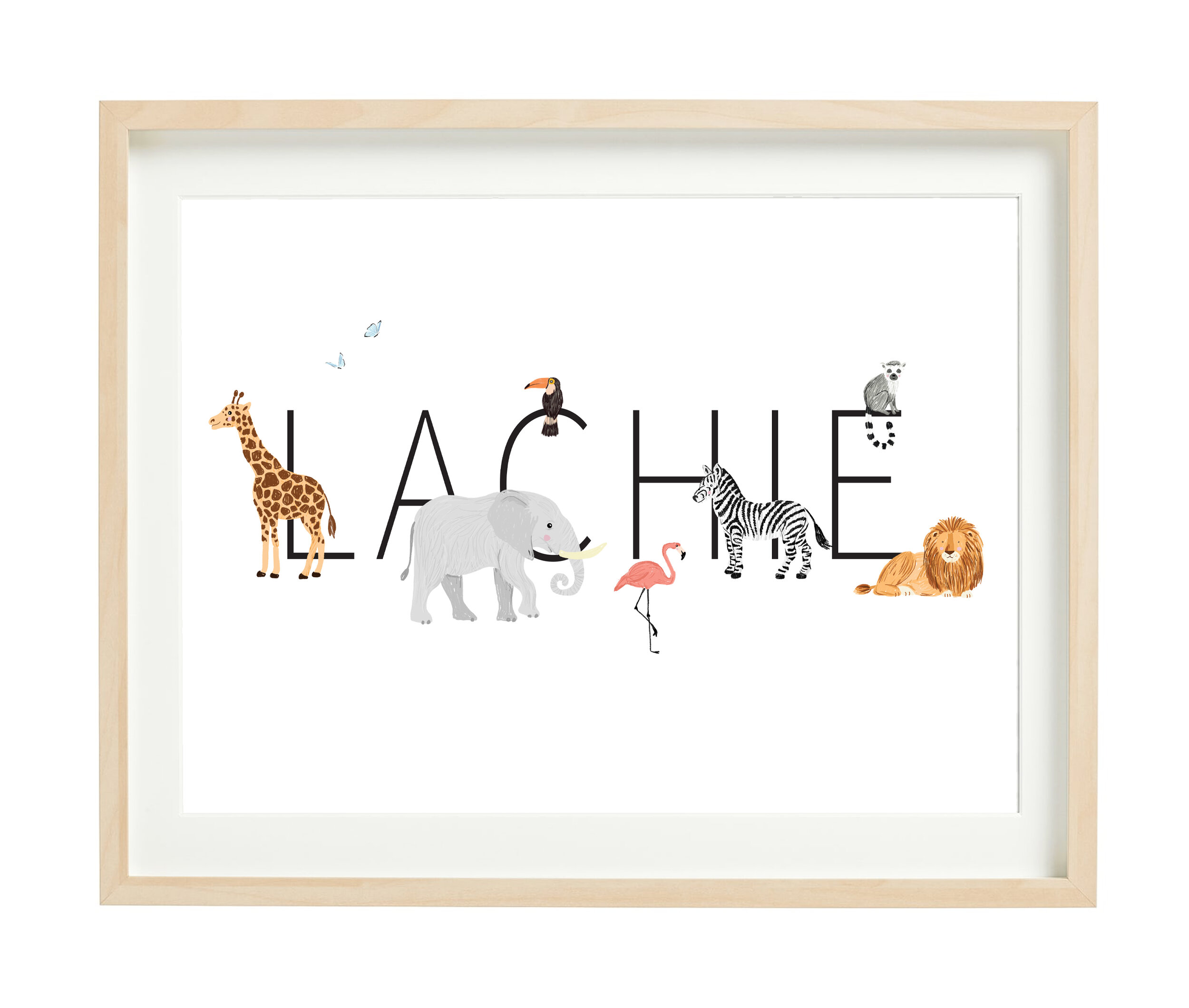 LACHIE.jpg
