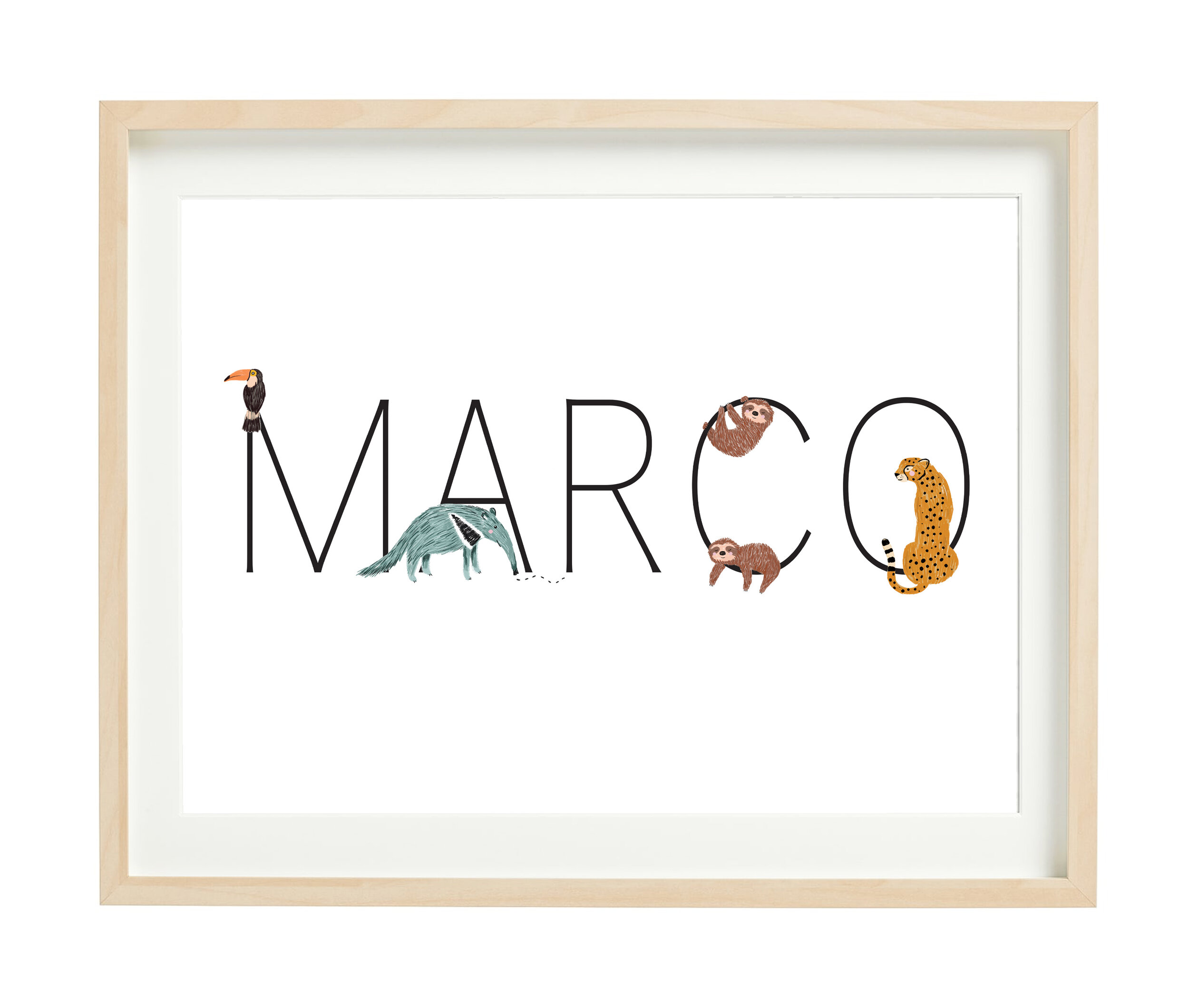 MARCO.jpg