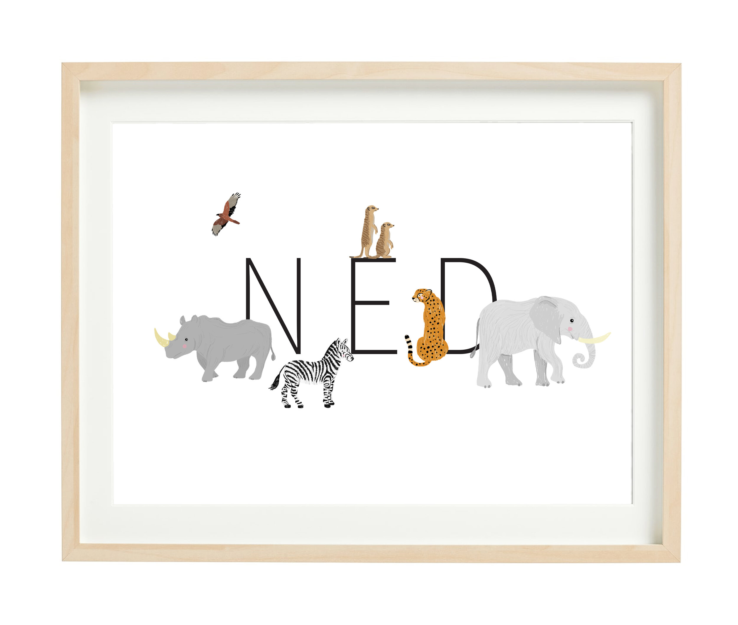NED.jpg